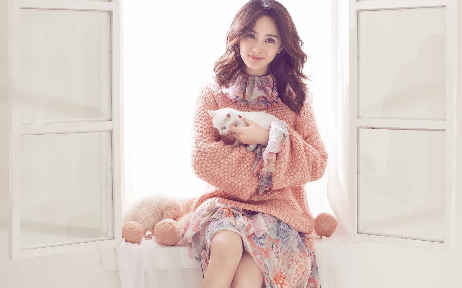 杨幂,写真,冬日,猫咪