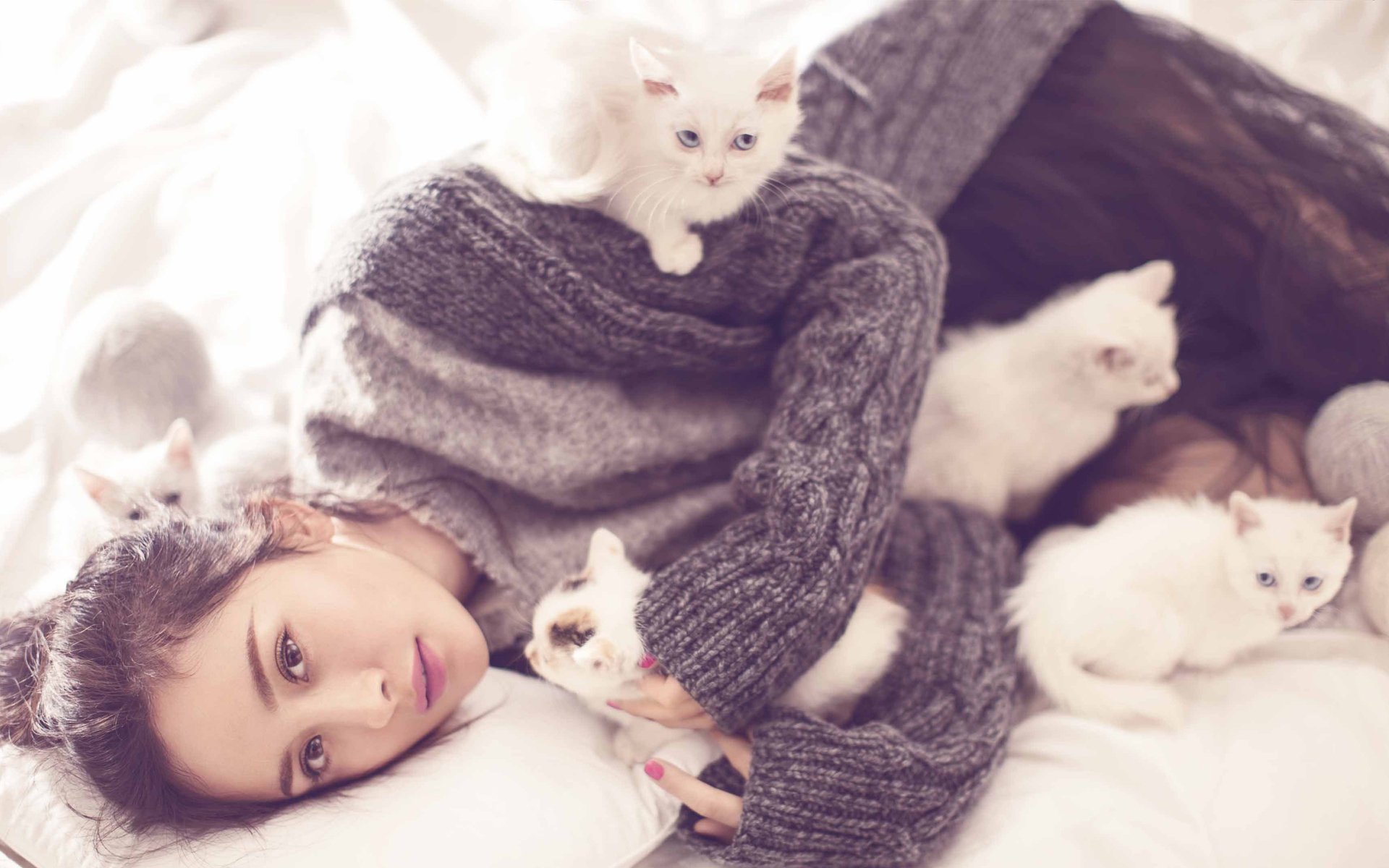 杨幂,写真,冬日,猫咪