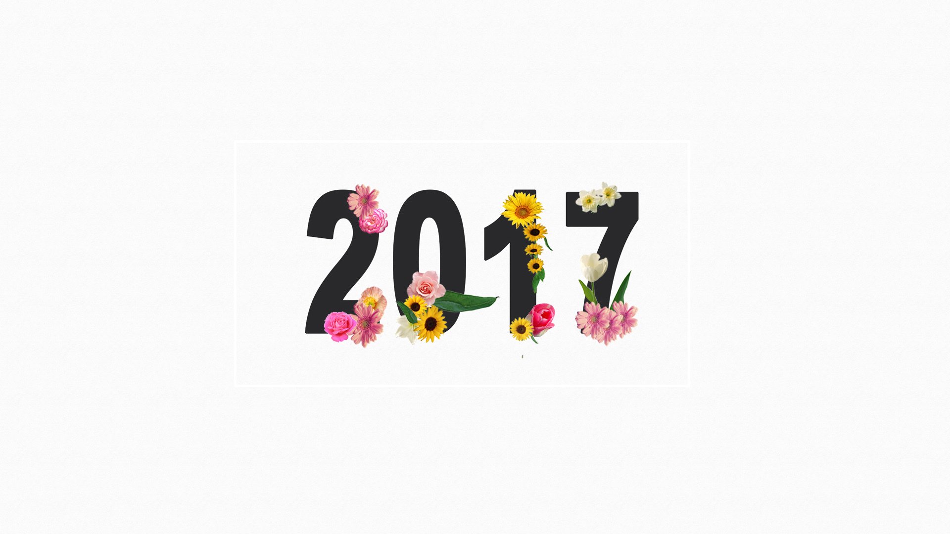 2017,元旦节,新年