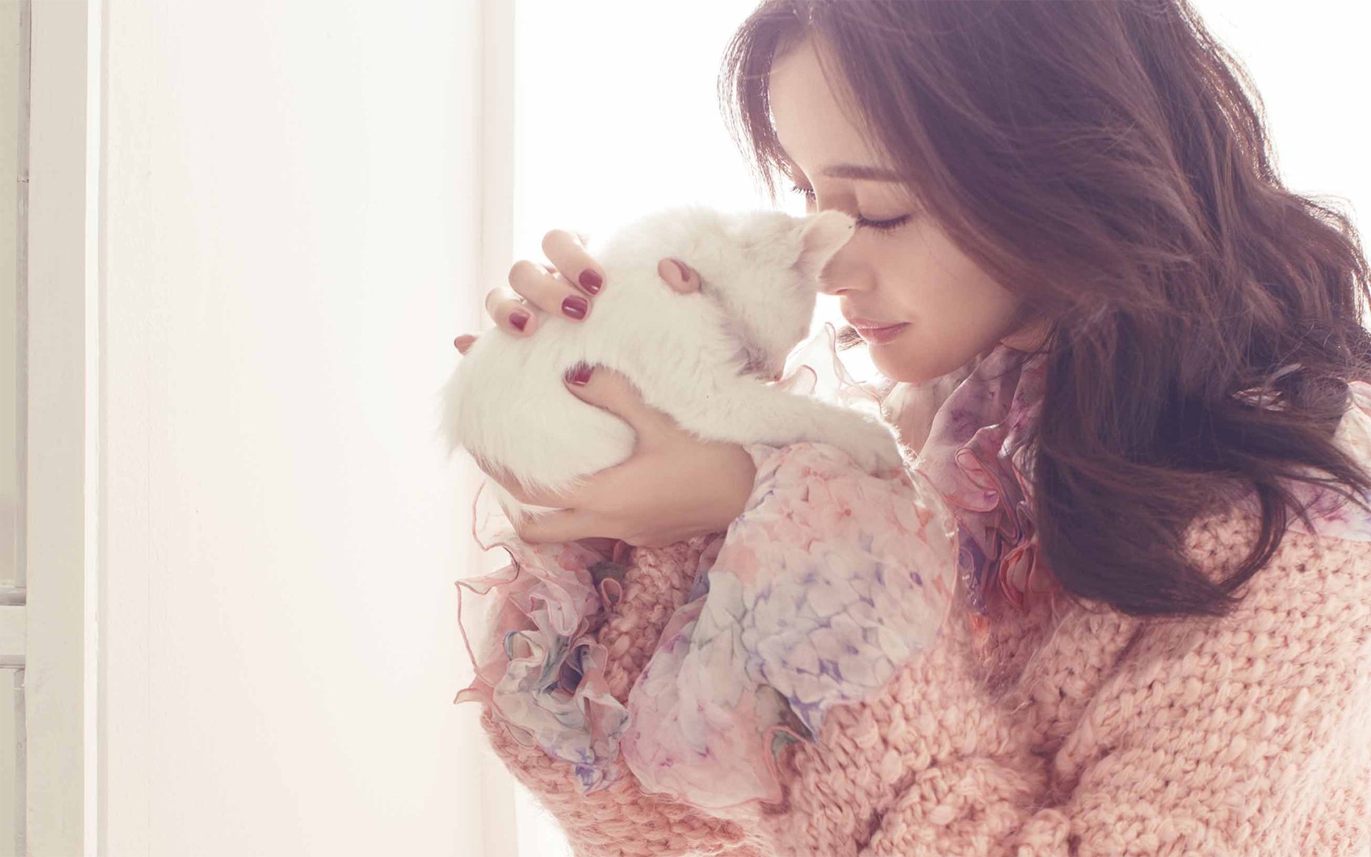 杨幂,写真,冬日,猫咪