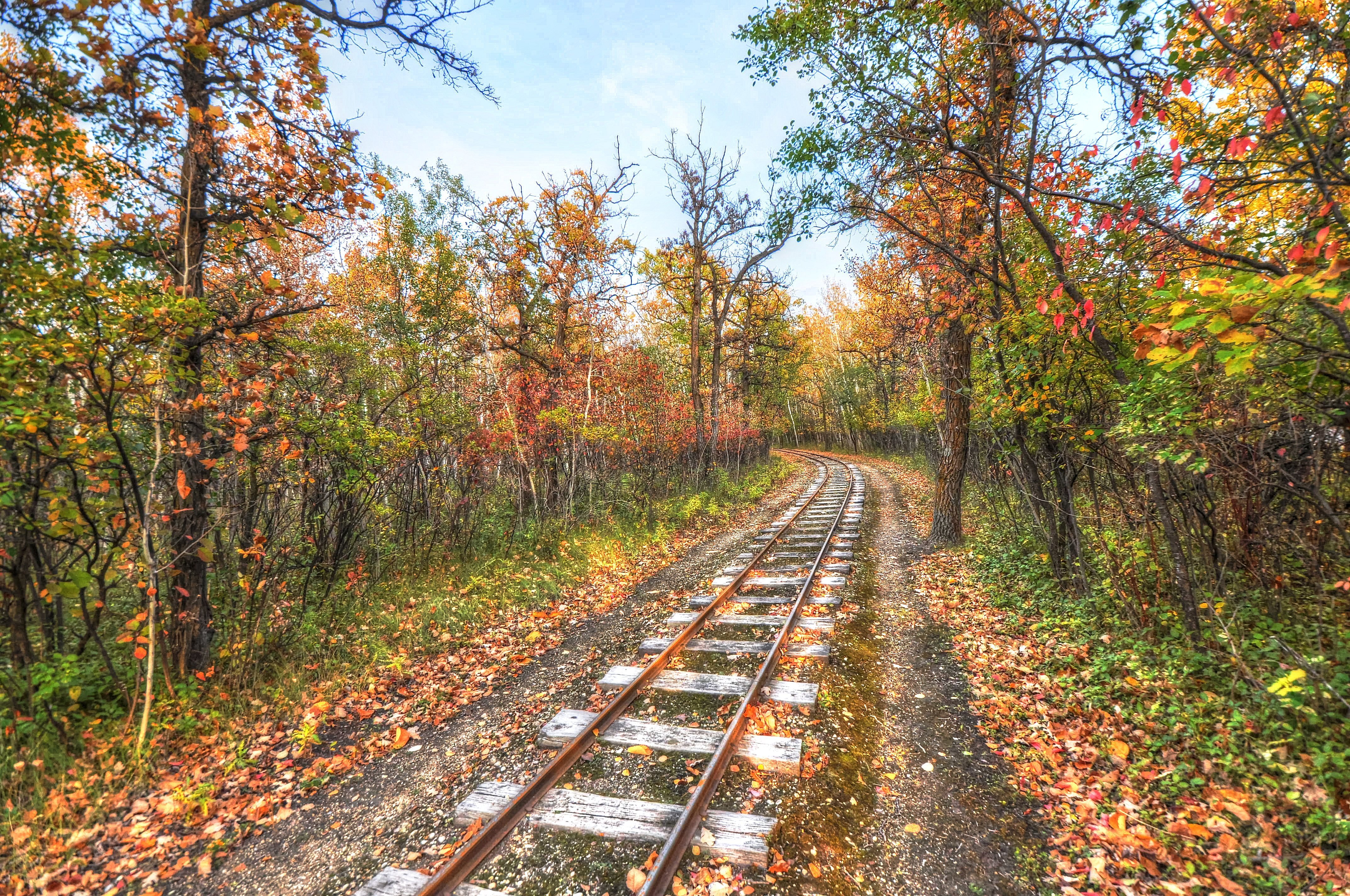 风景,秋天,落叶,铁路