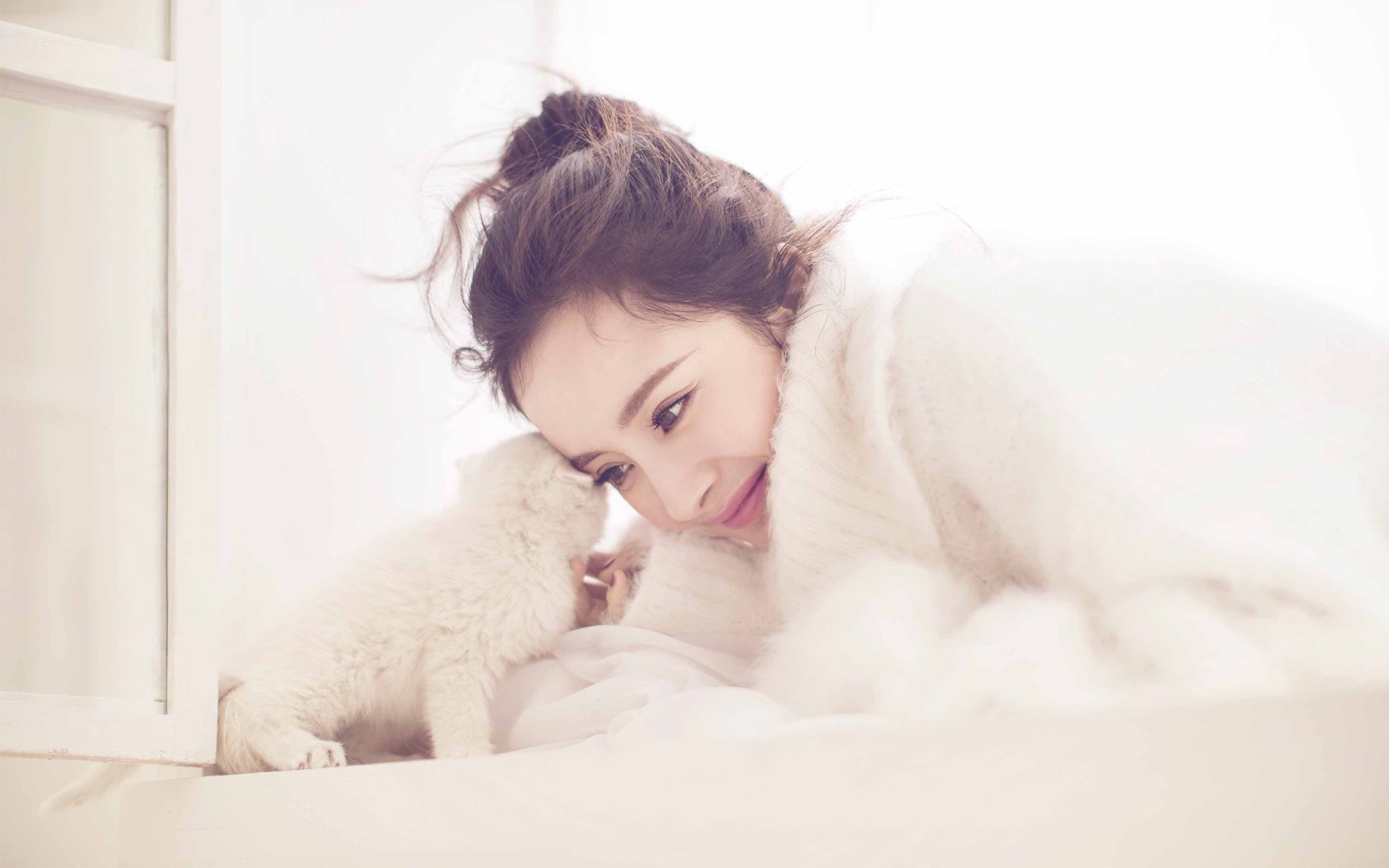 杨幂,写真,冬日,猫咪