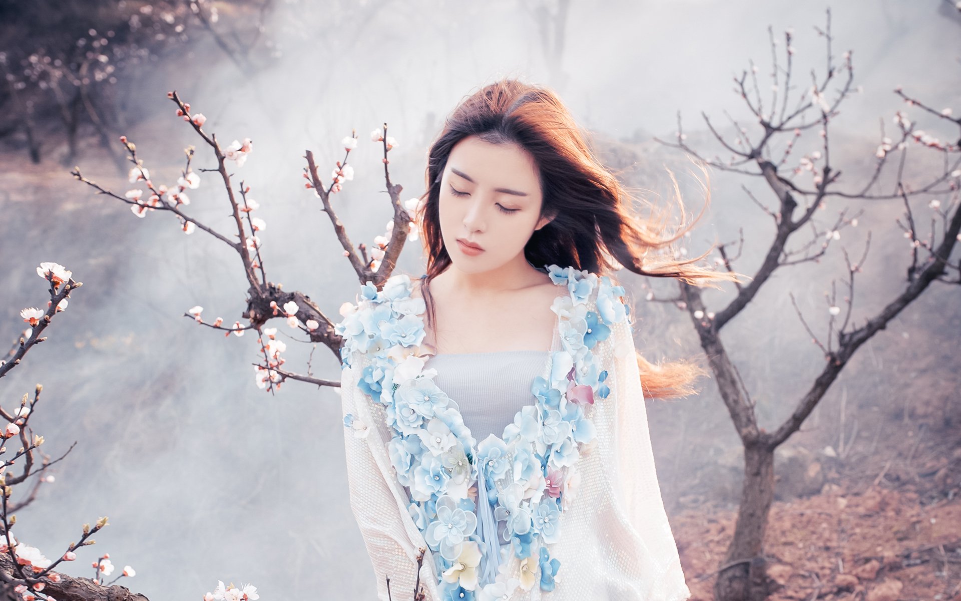 清纯,日系,唯美,樱花