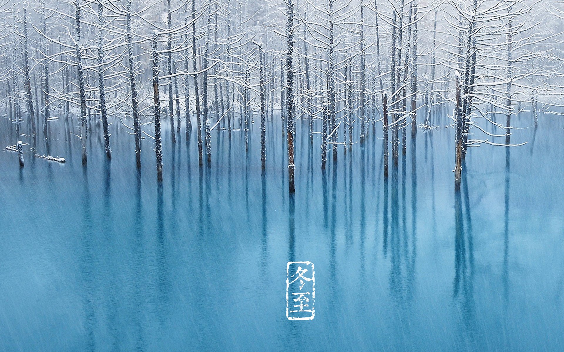 冬至,风景,雪景