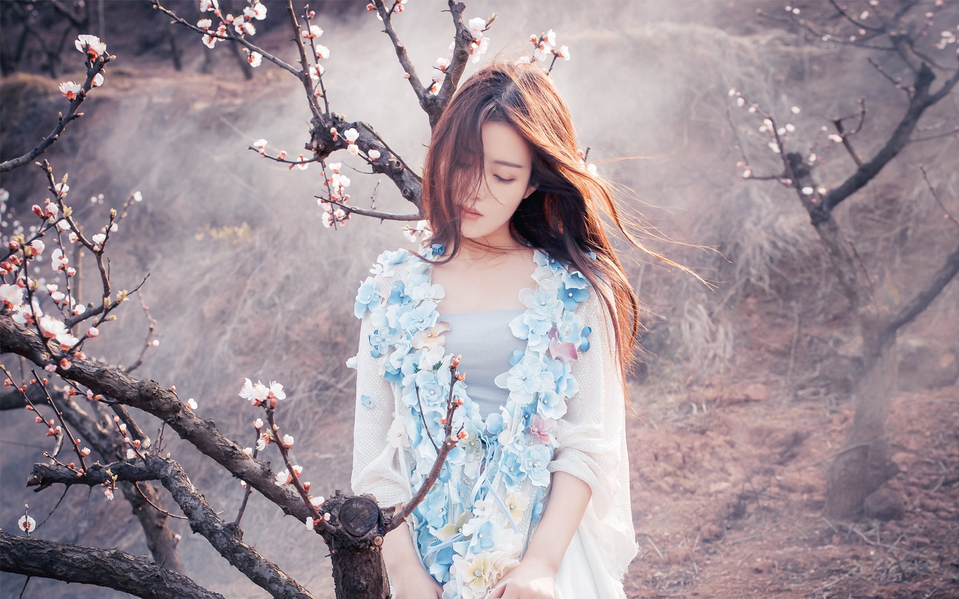 清纯,日系,唯美,樱花