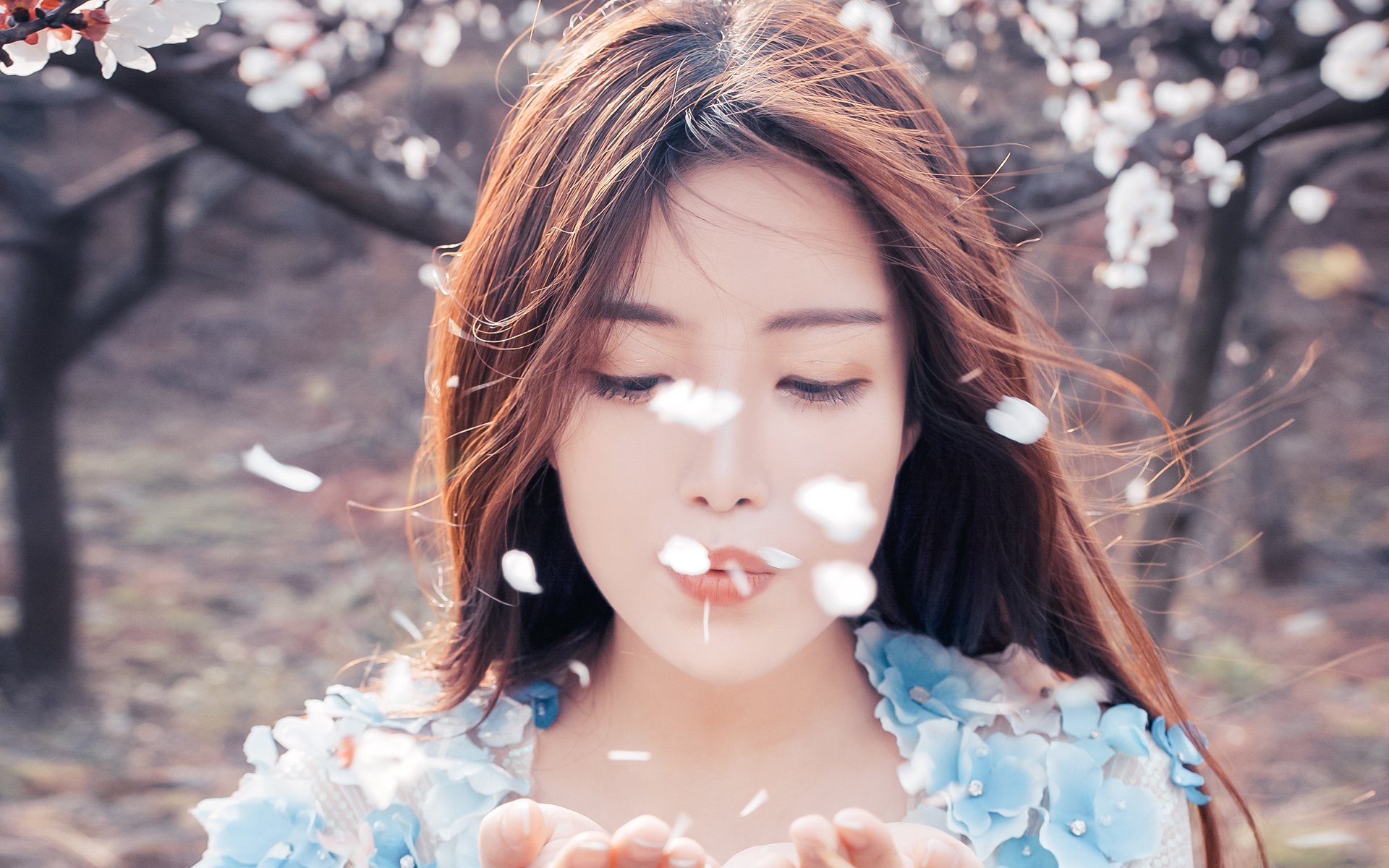 清纯,日系,唯美,樱花