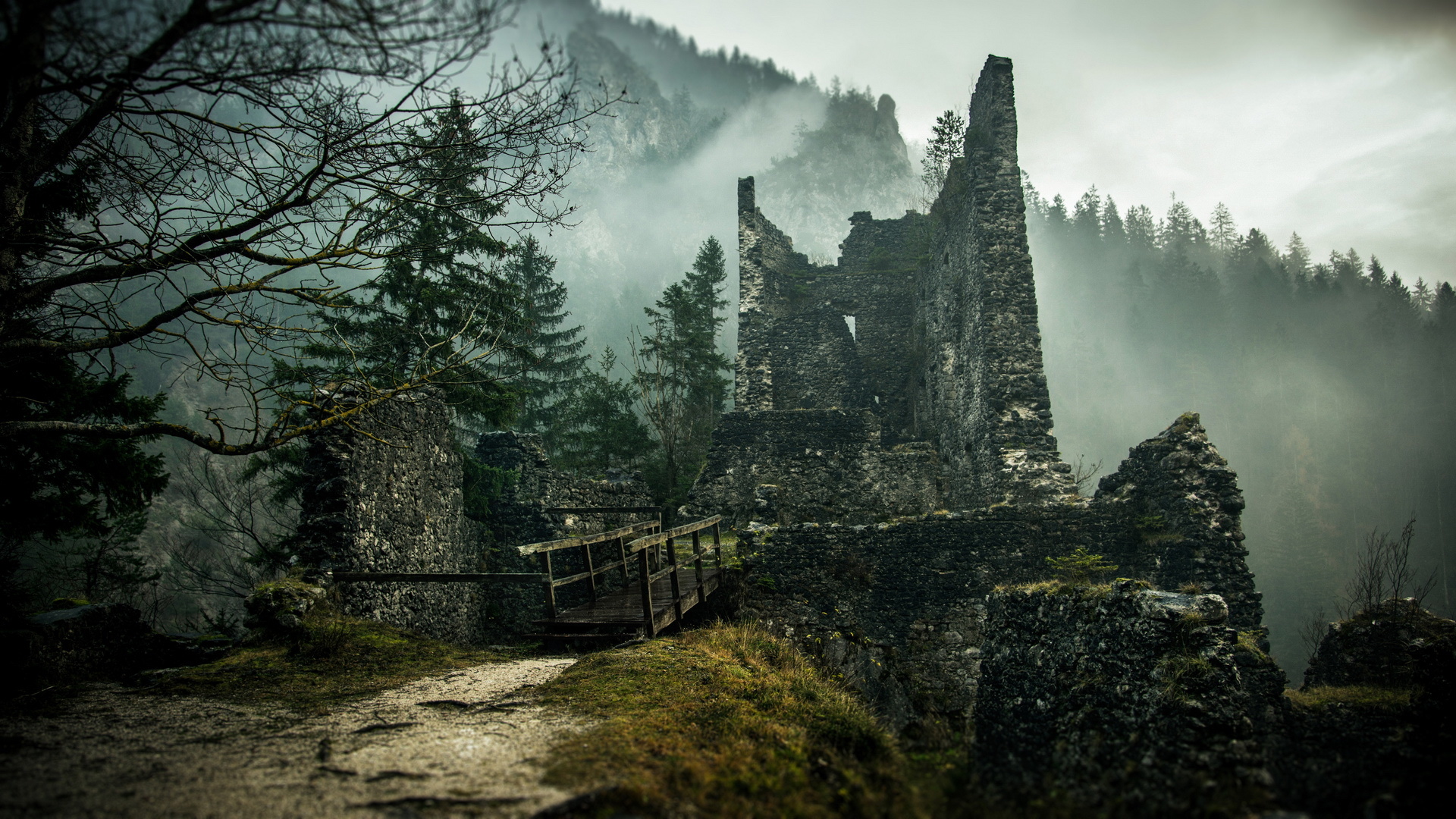 自然风光,山脉,森林