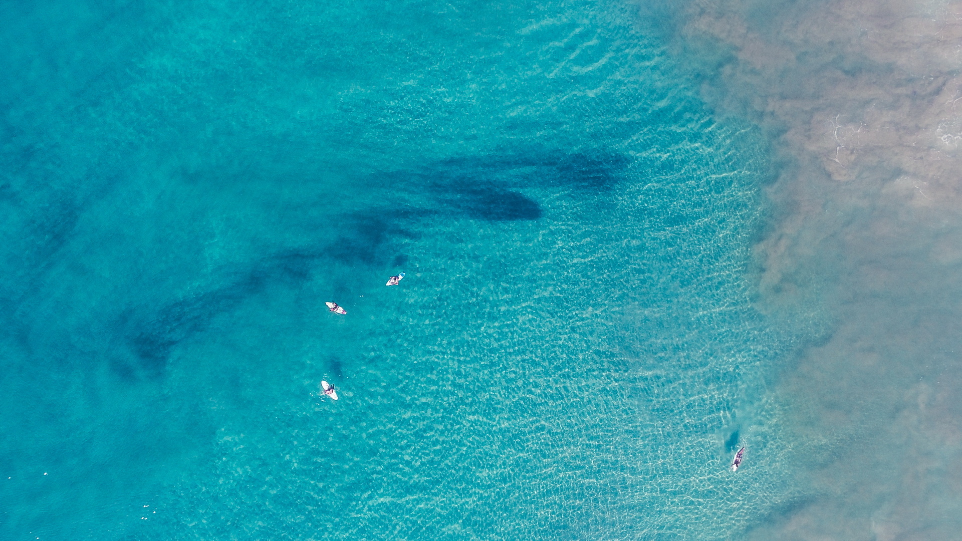 海洋天堂,蓝色,大海