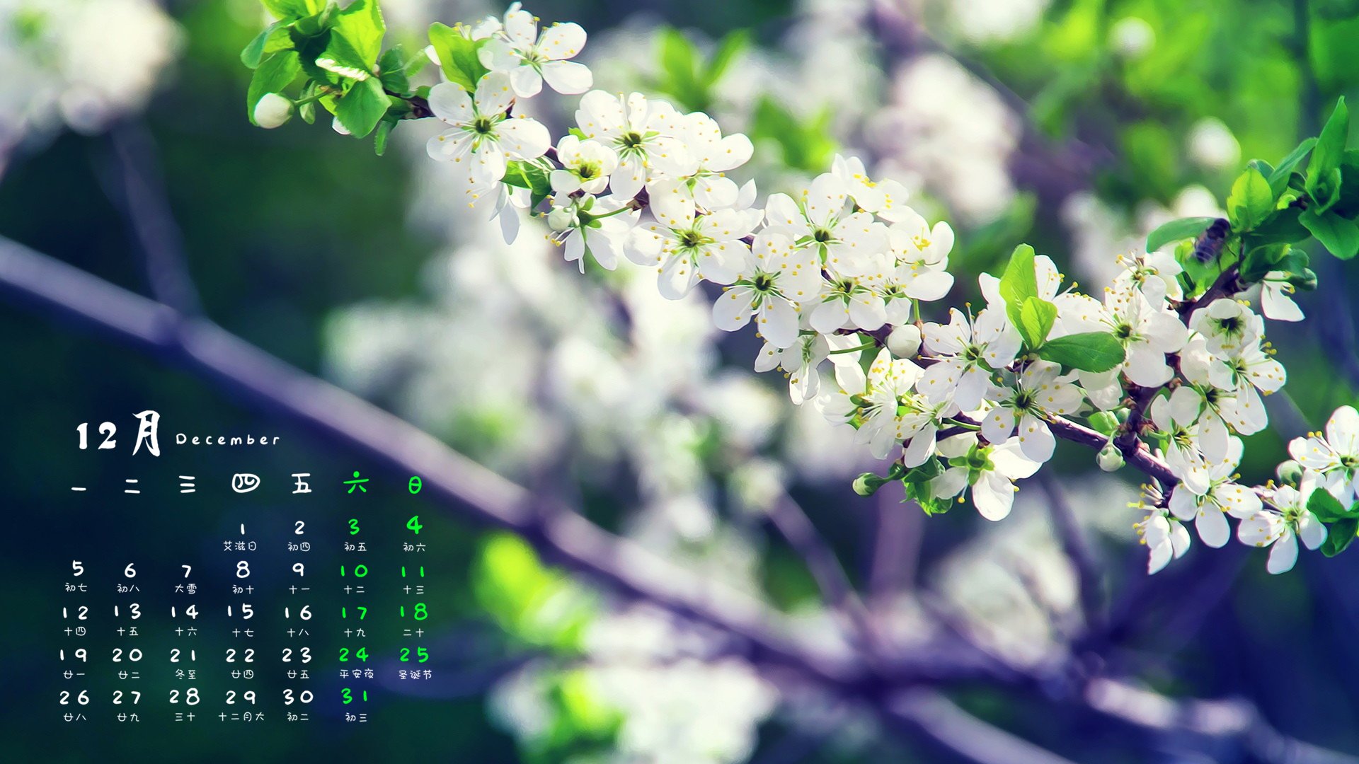 12月,小清新,桃花