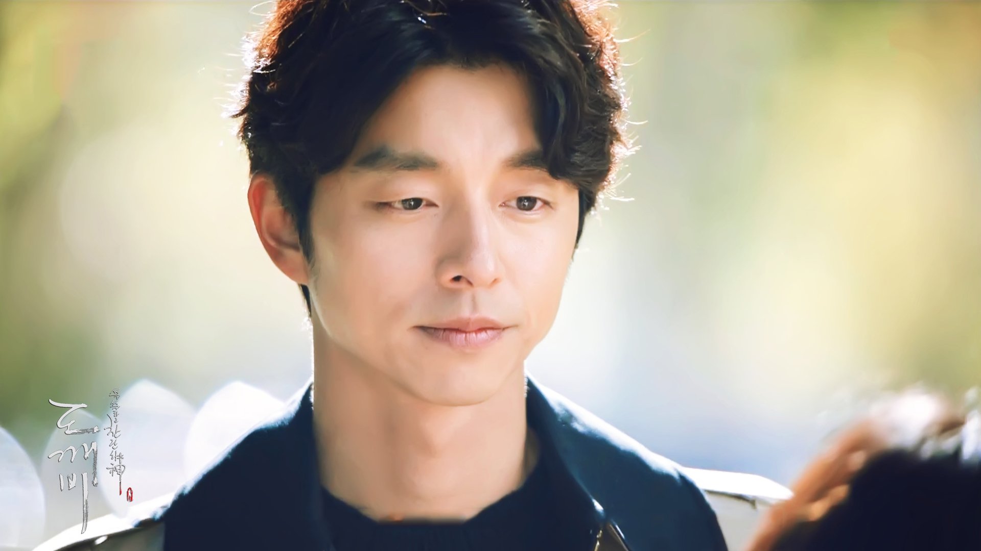 孔侑,孔刘,孤单又灿烂的神,鬼怪,韩剧