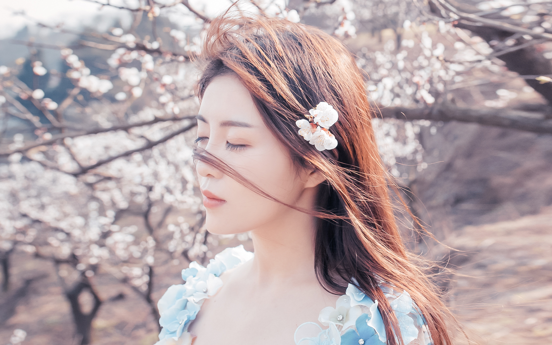 清纯,日系,唯美,樱花