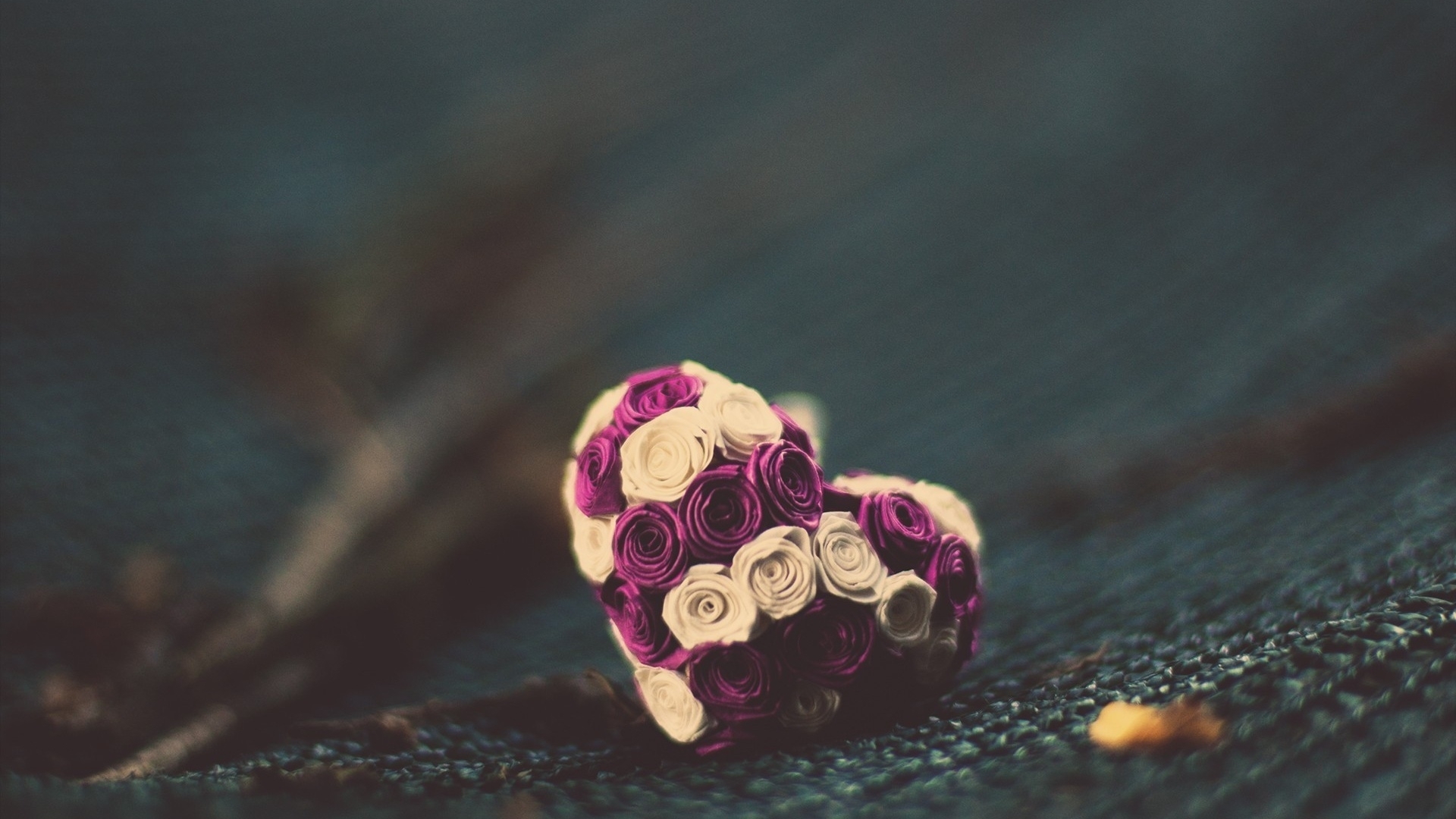 唯美温馨,玫瑰花,爱心