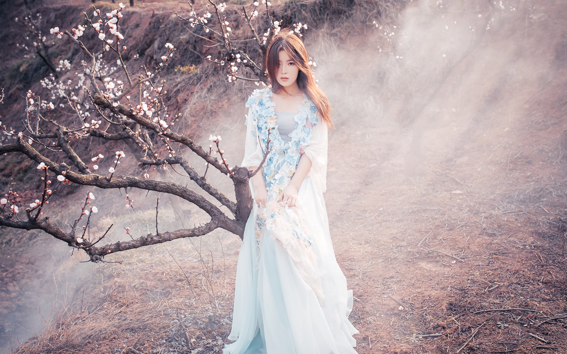 清纯,日系,唯美,樱花