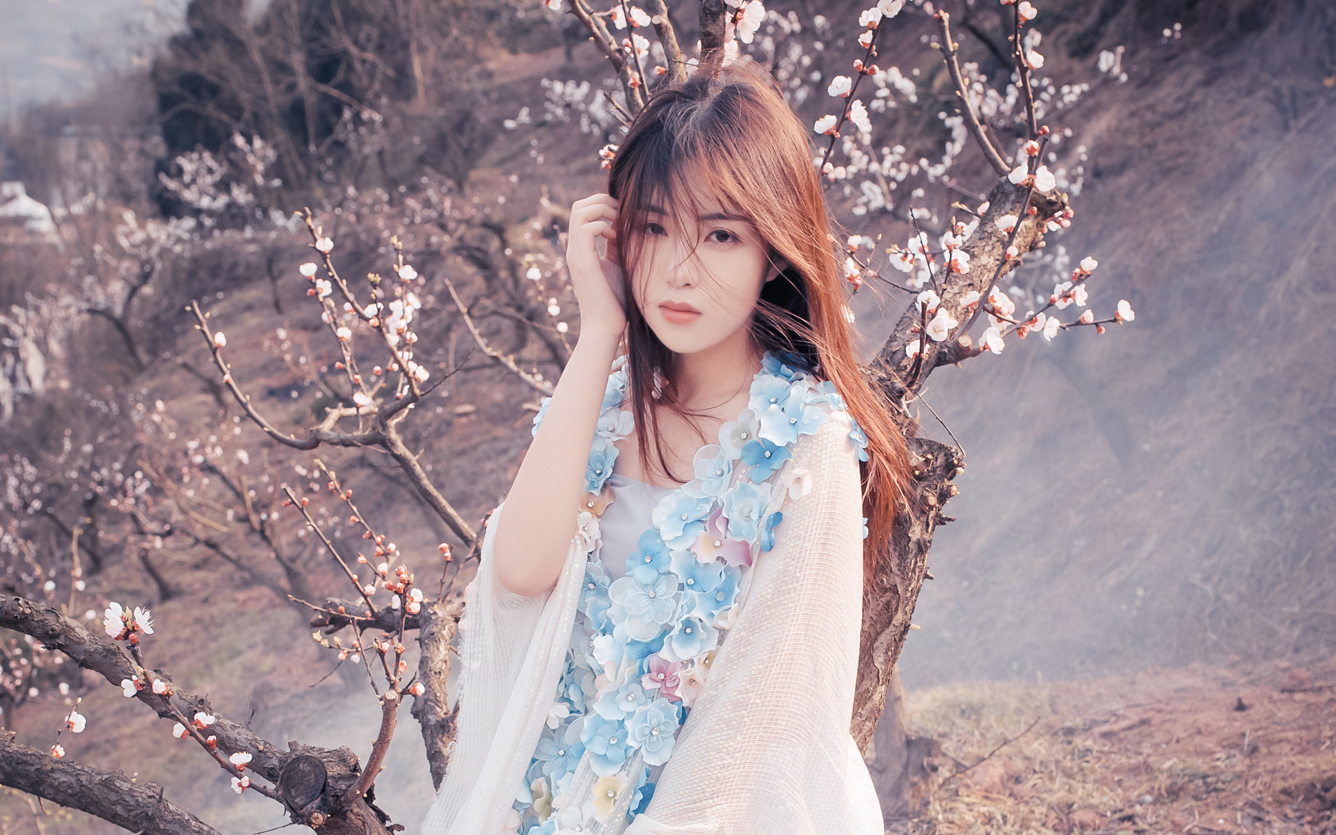 清纯,日系,唯美,樱花