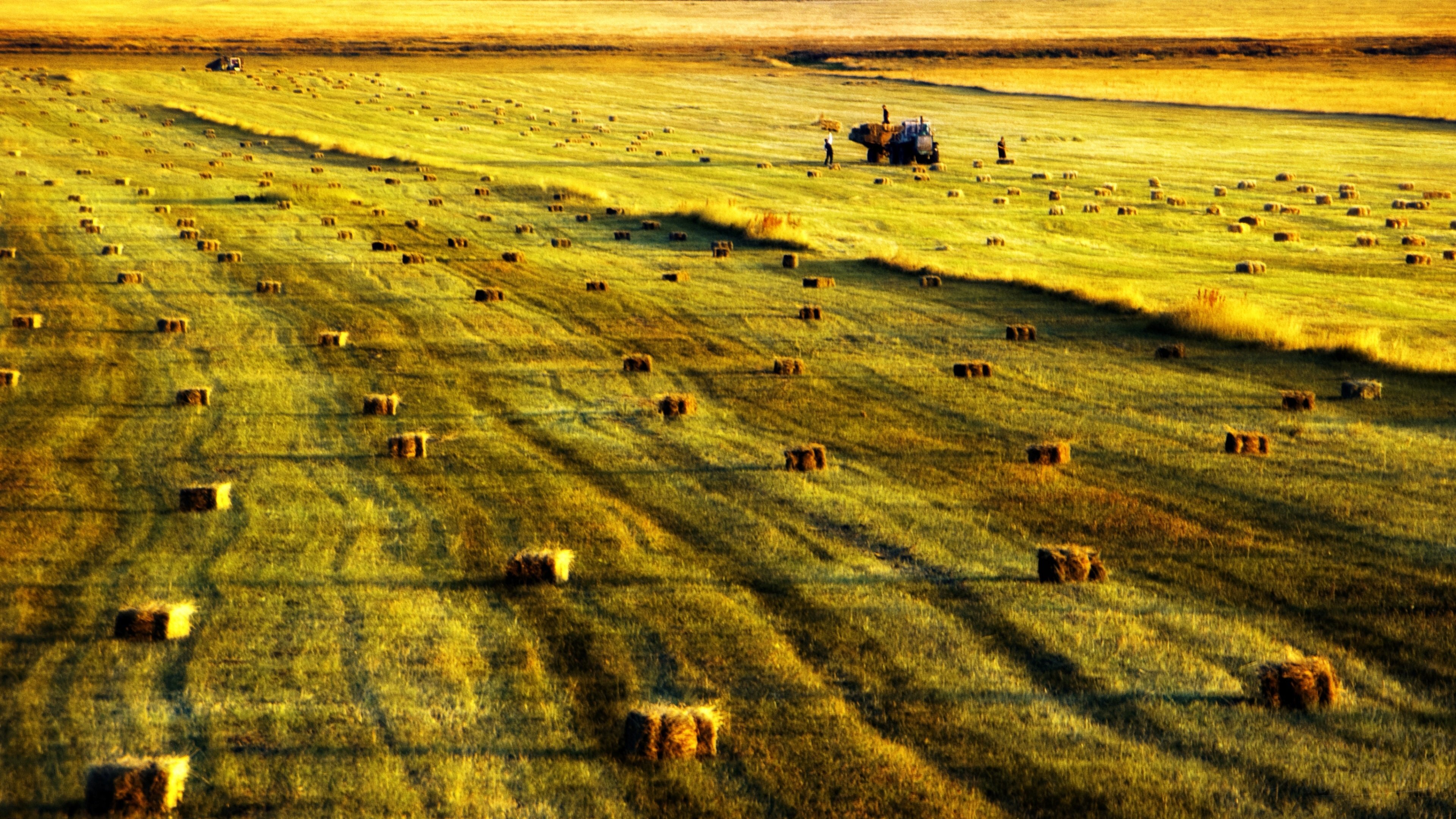 风景,田园,收割,秋天