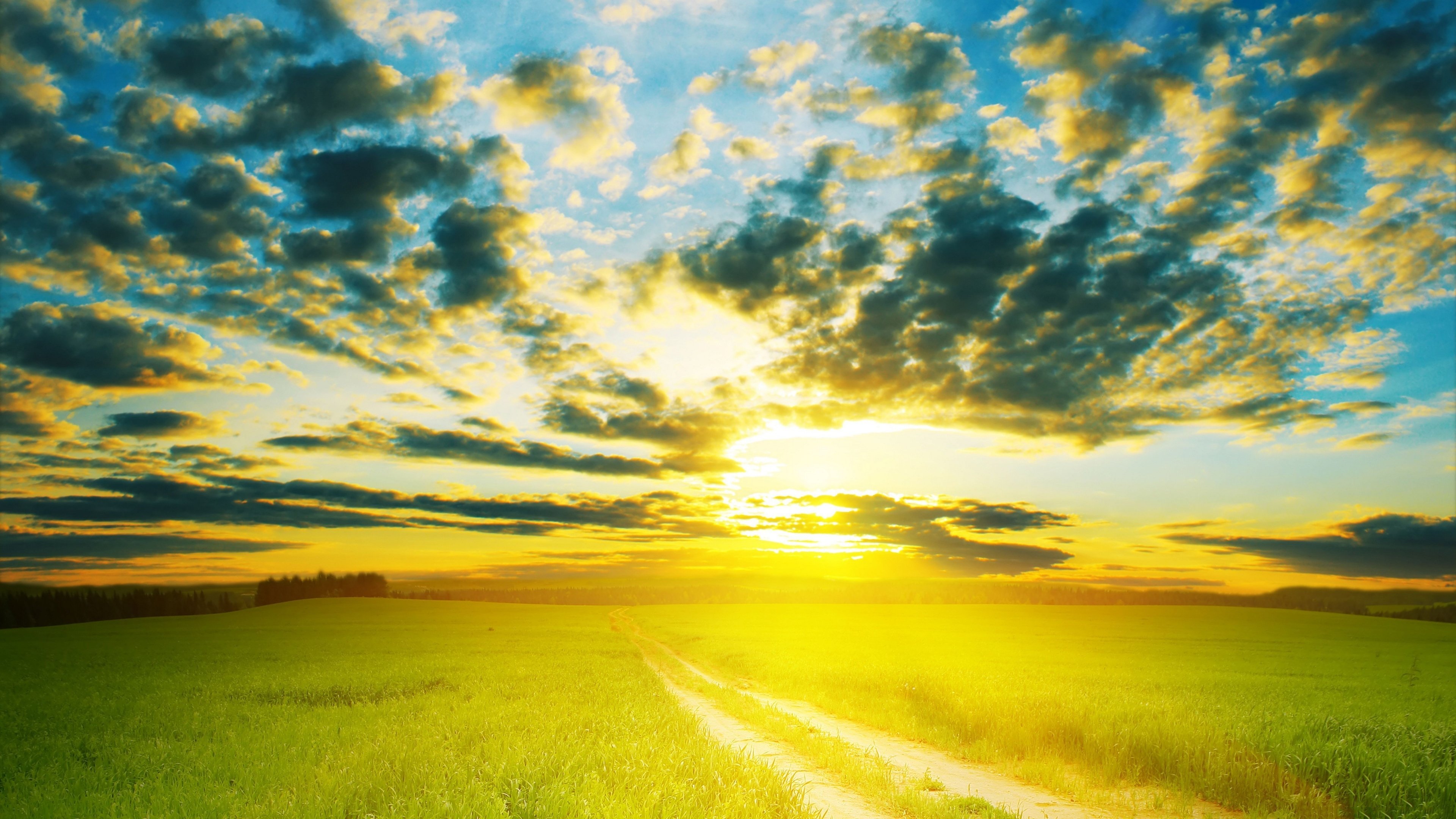 秋意正浓,麦田,阳光