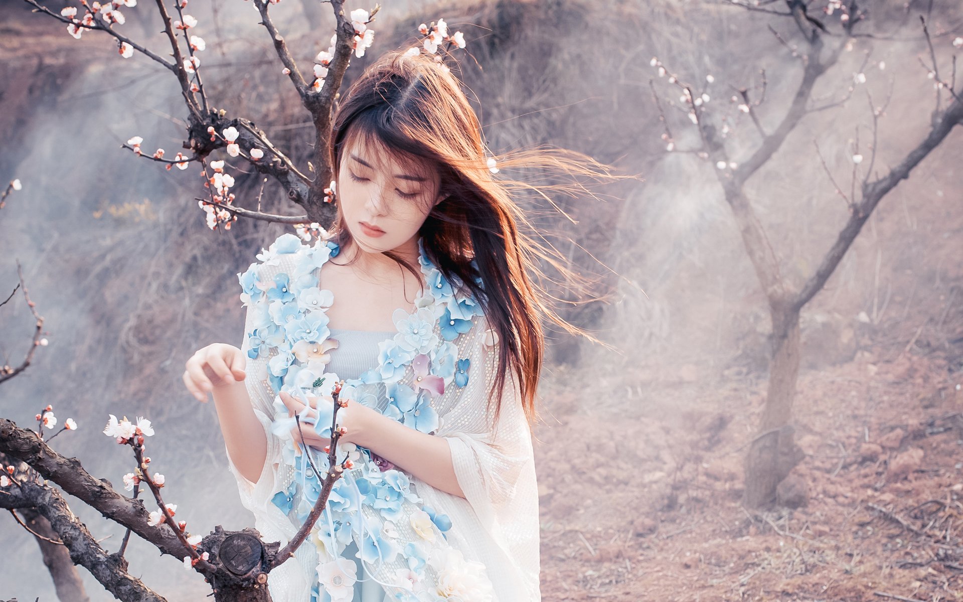 清纯,日系,唯美,樱花