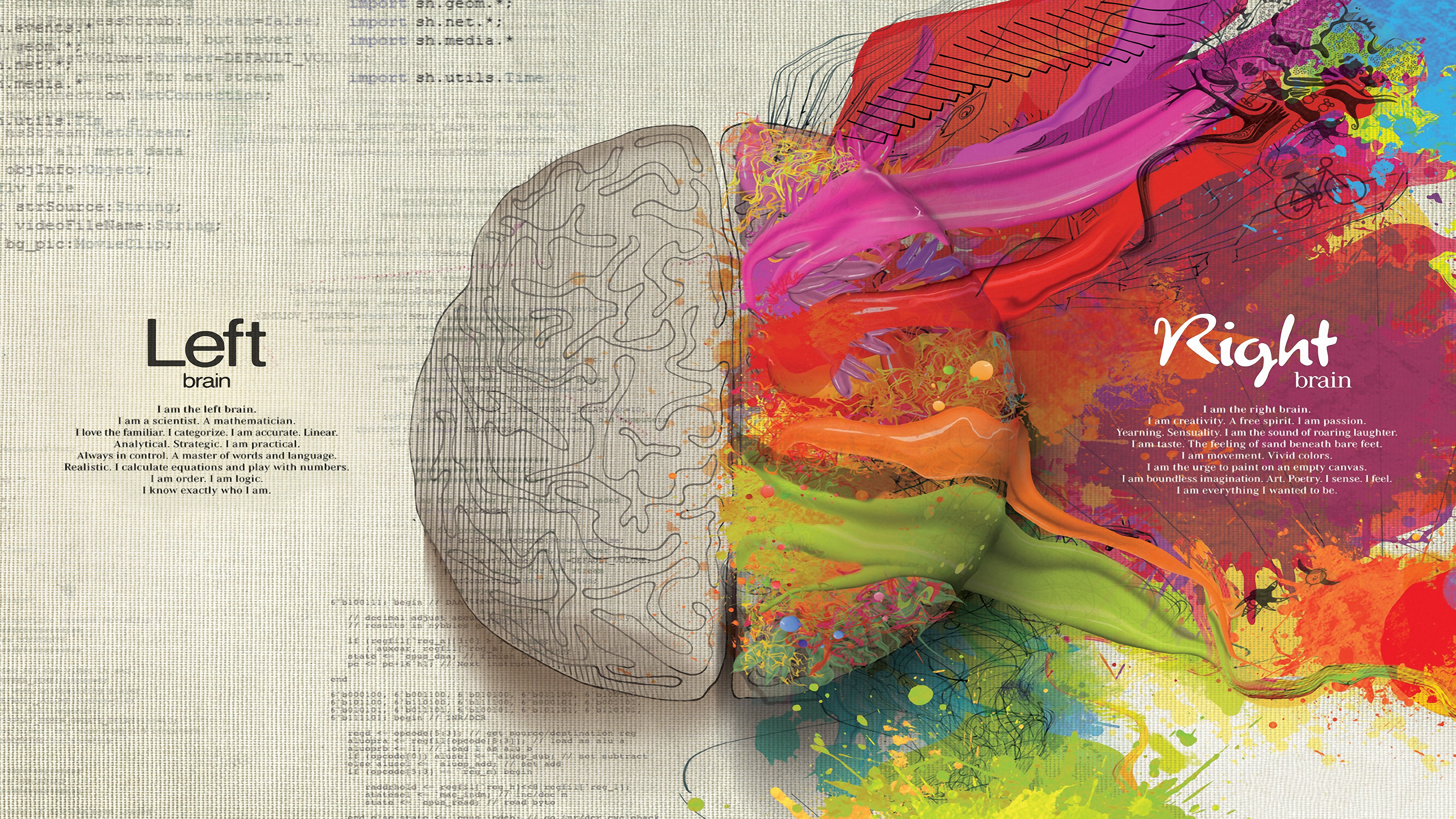 创意,大脑,艺术