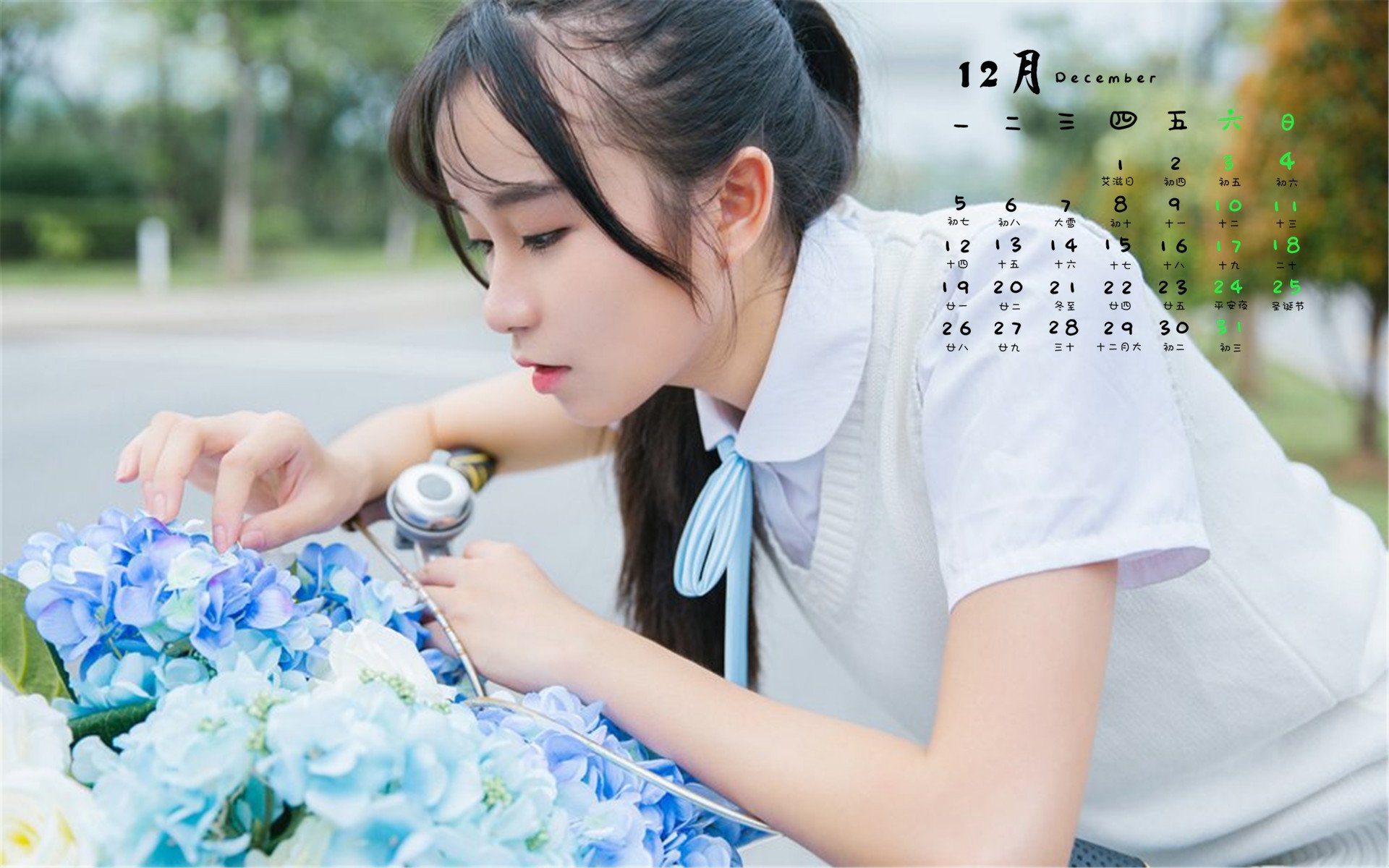 12月,美女,小清新