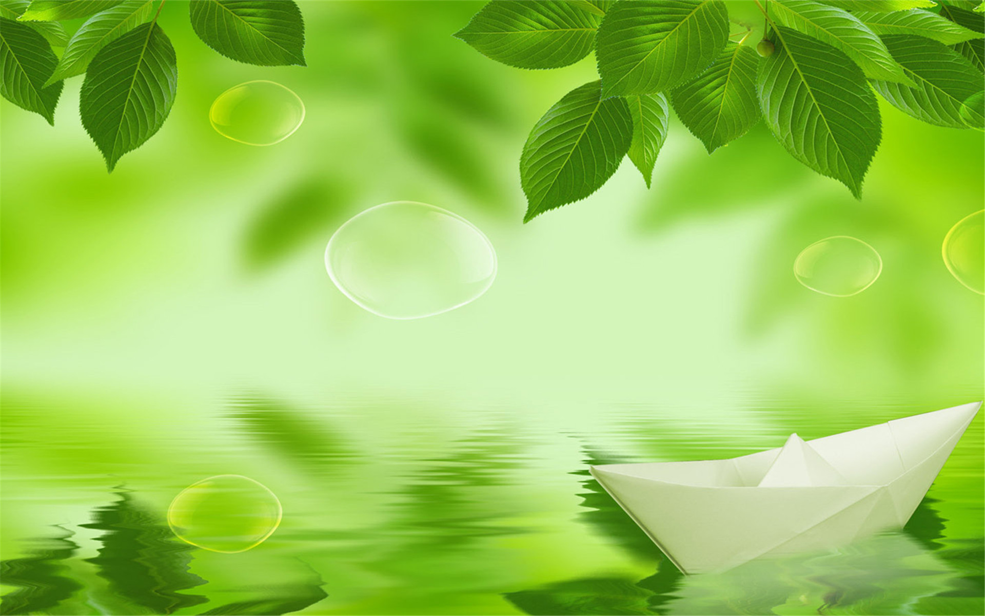 护眼壁纸,绿色,树叶