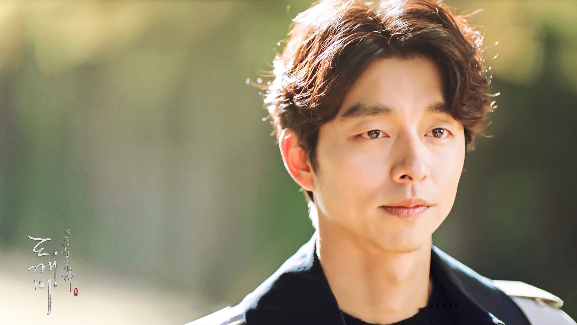 孔侑,孔刘,孤单又灿烂的神,鬼怪,韩剧