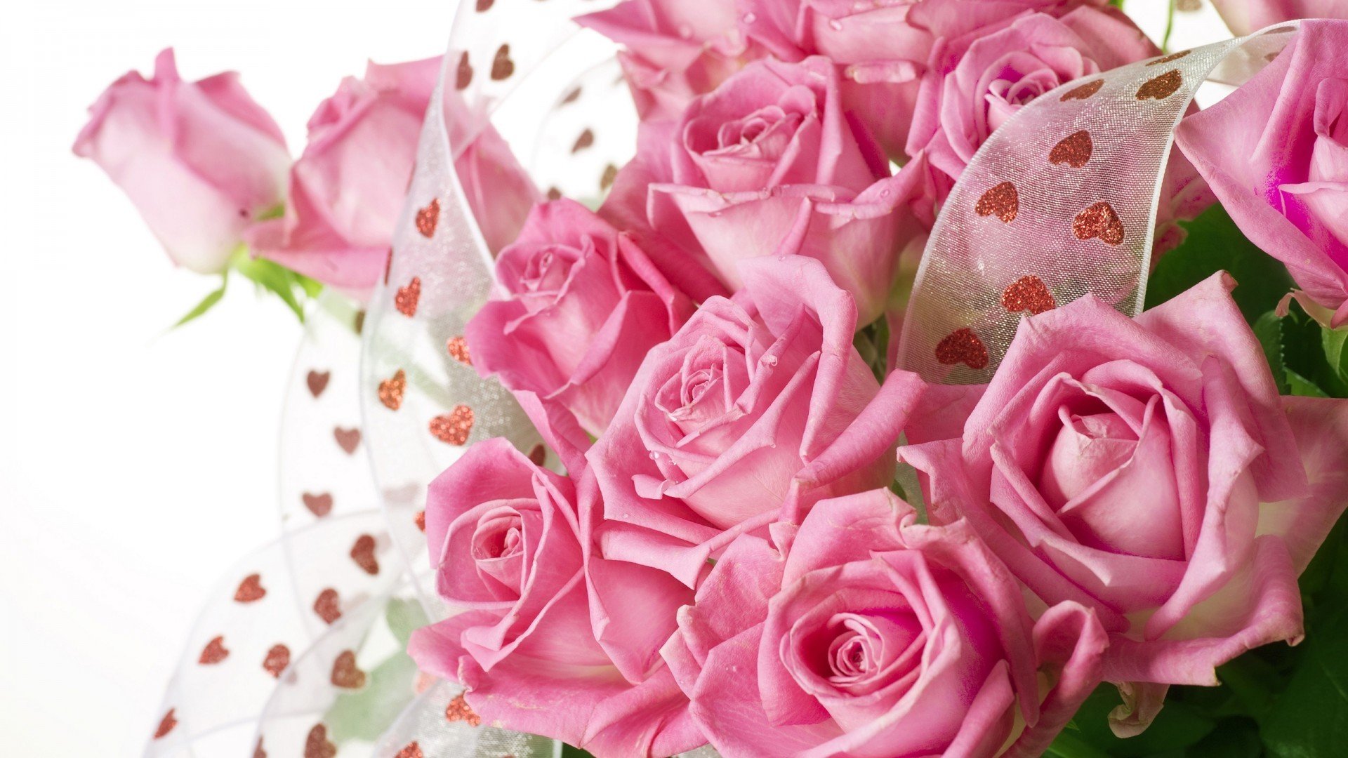 唯美温馨,玫瑰花