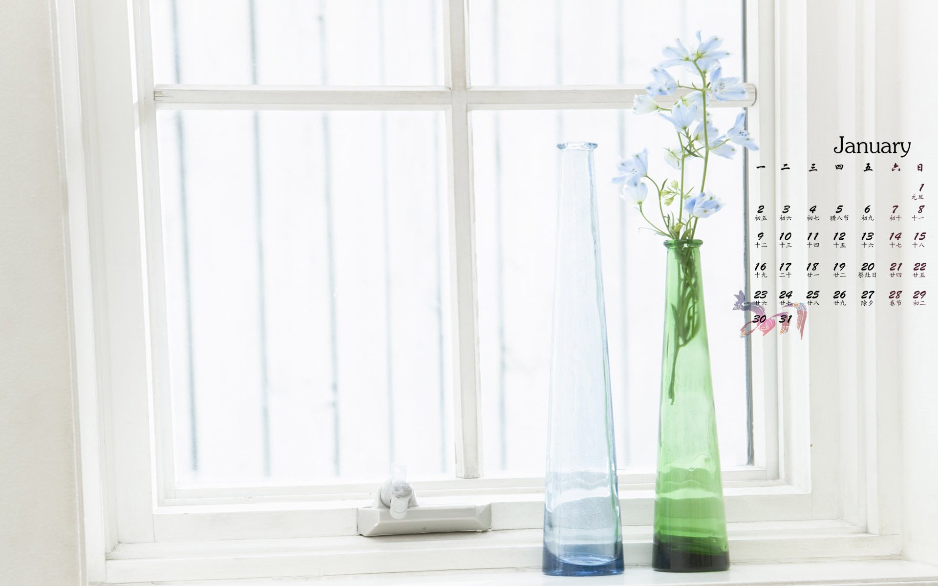 1月,小清新,花瓶,鲜花