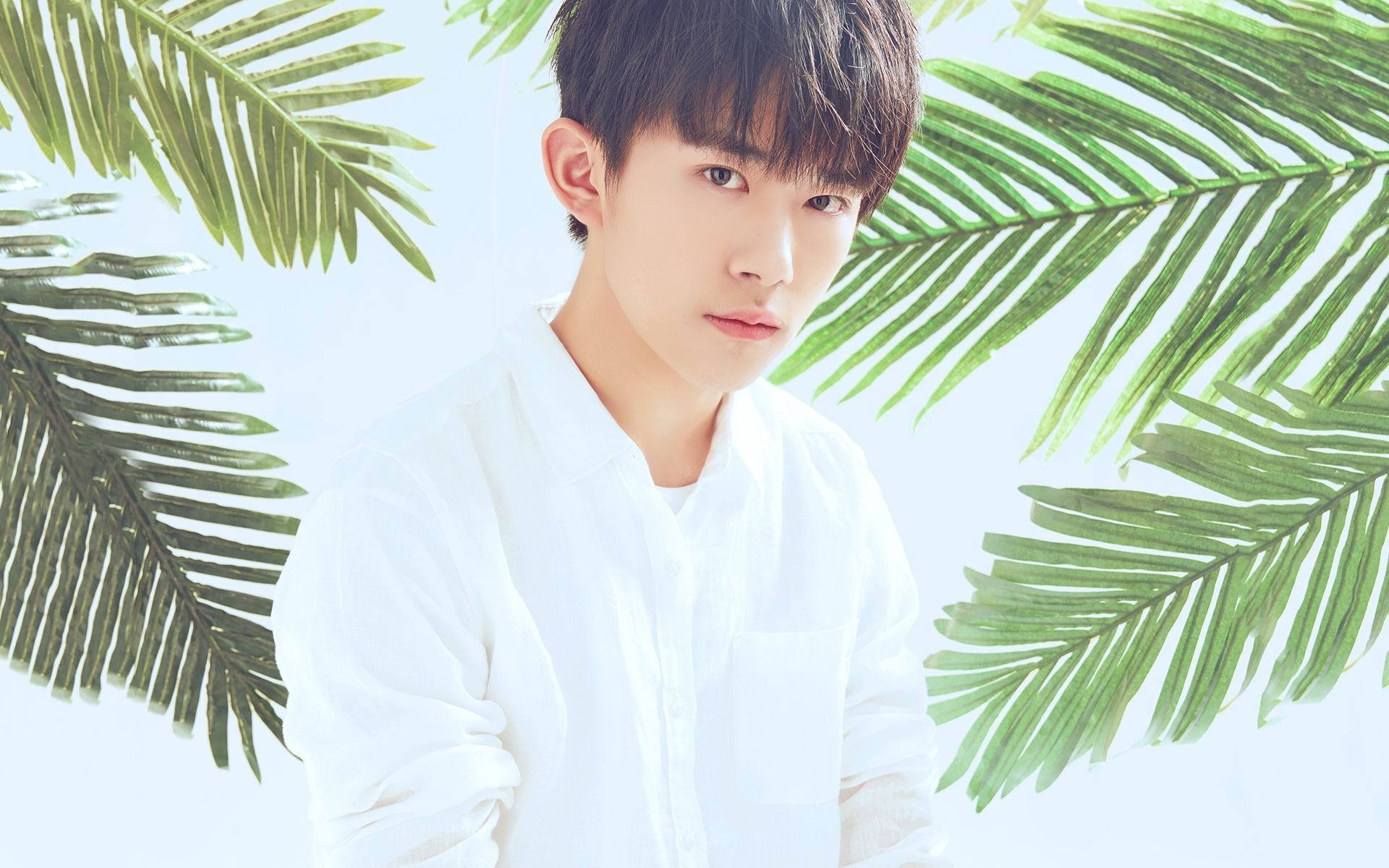 tfboys,易烊千玺