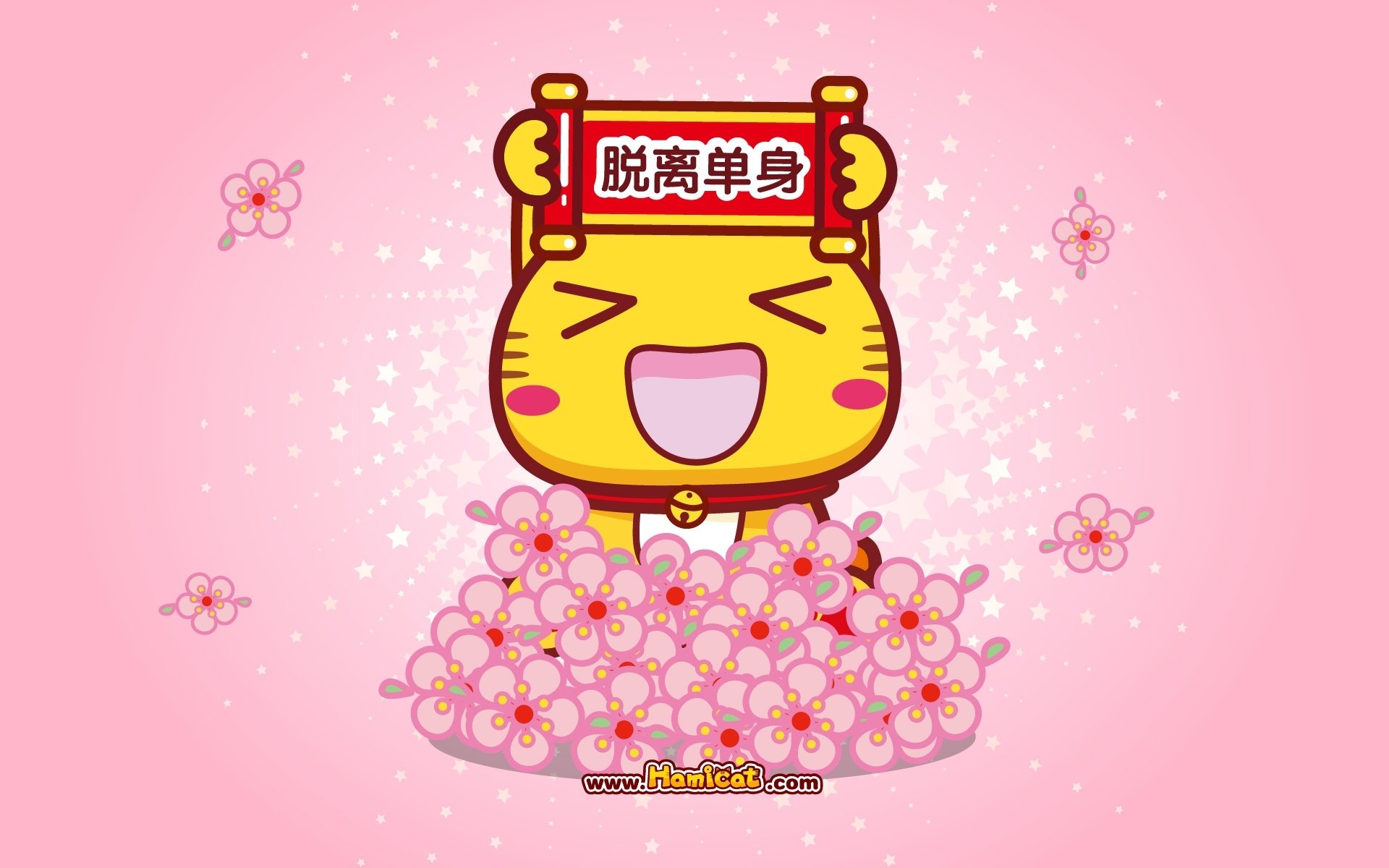 2017,新年快乐,哈咪猫,脱离单身