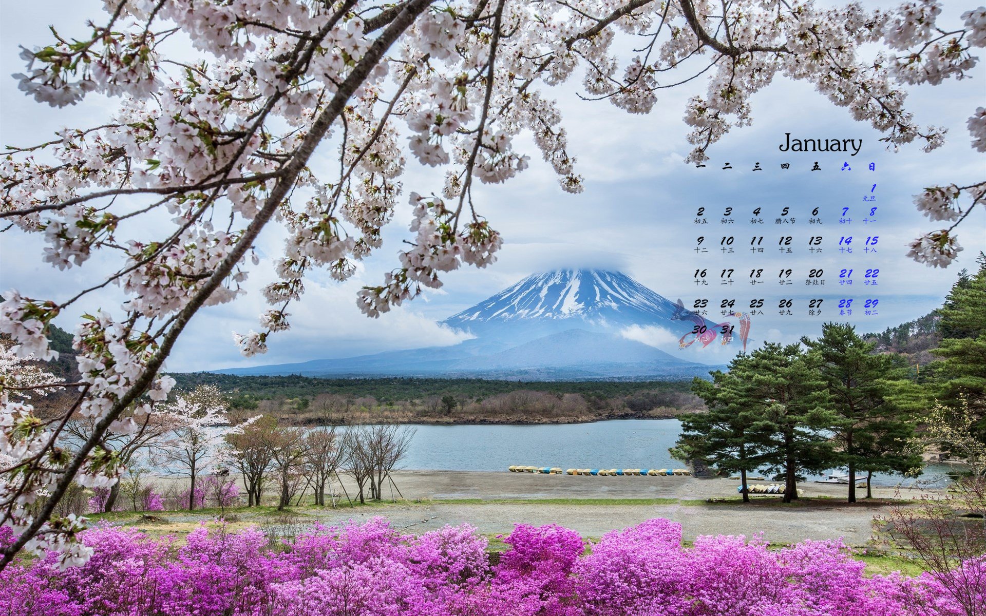 1月,风景,富士山