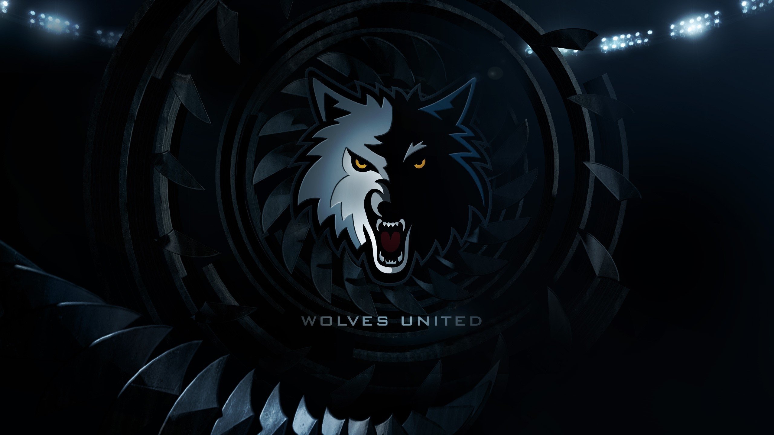 nba,森林狼,队徽,队标