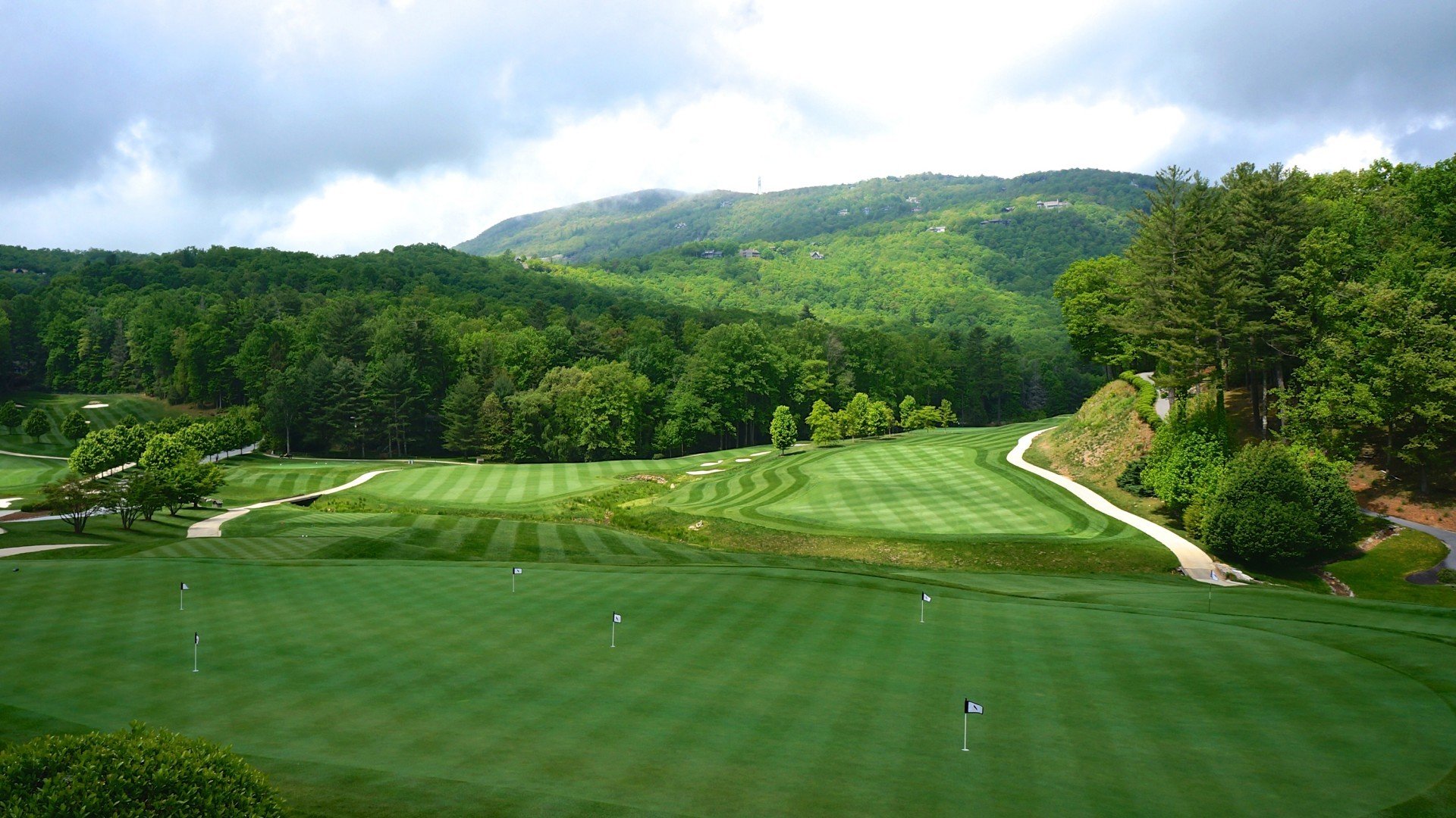 自然风光,森林,高尔夫球场