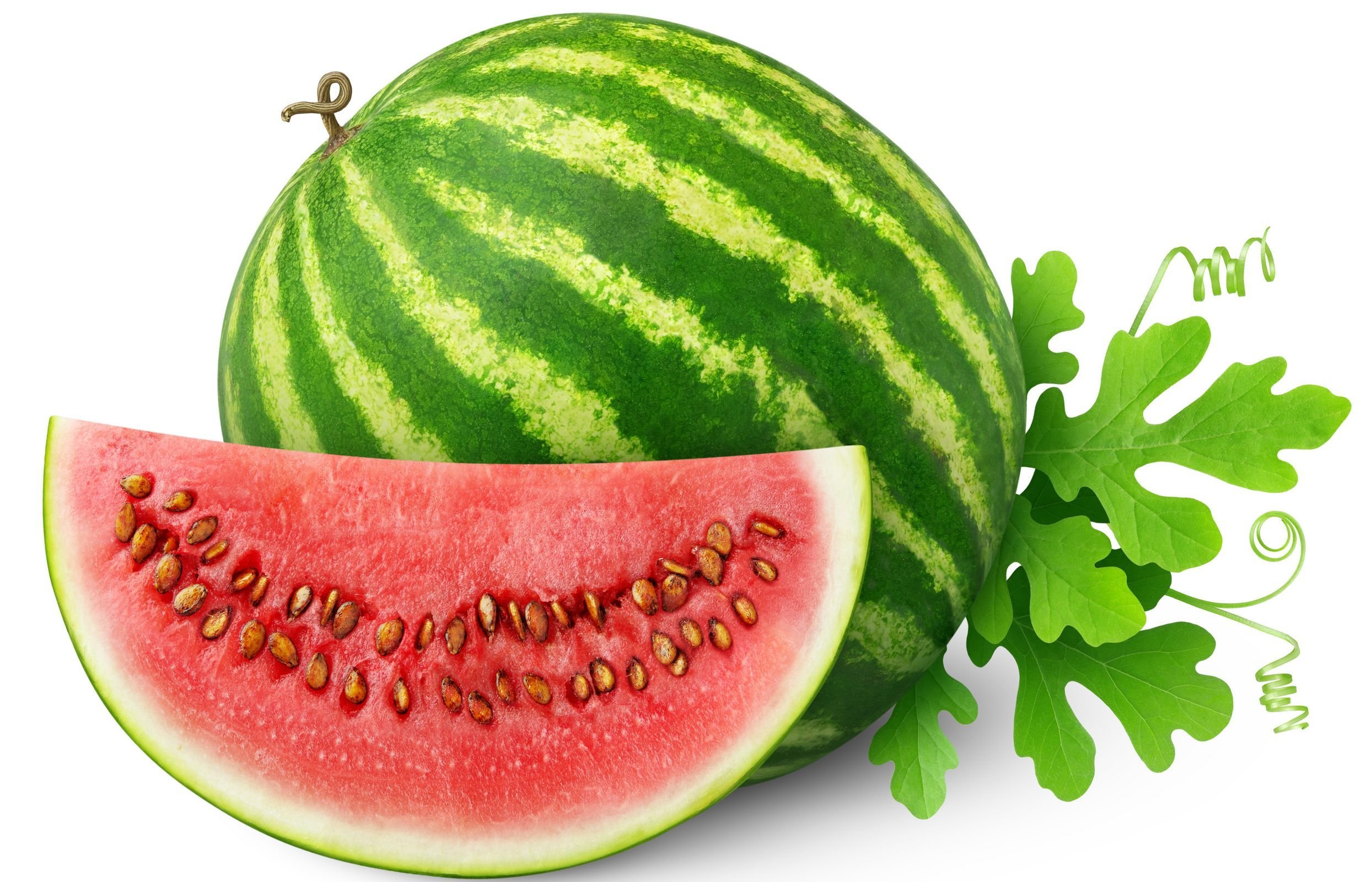 动感水果,西瓜