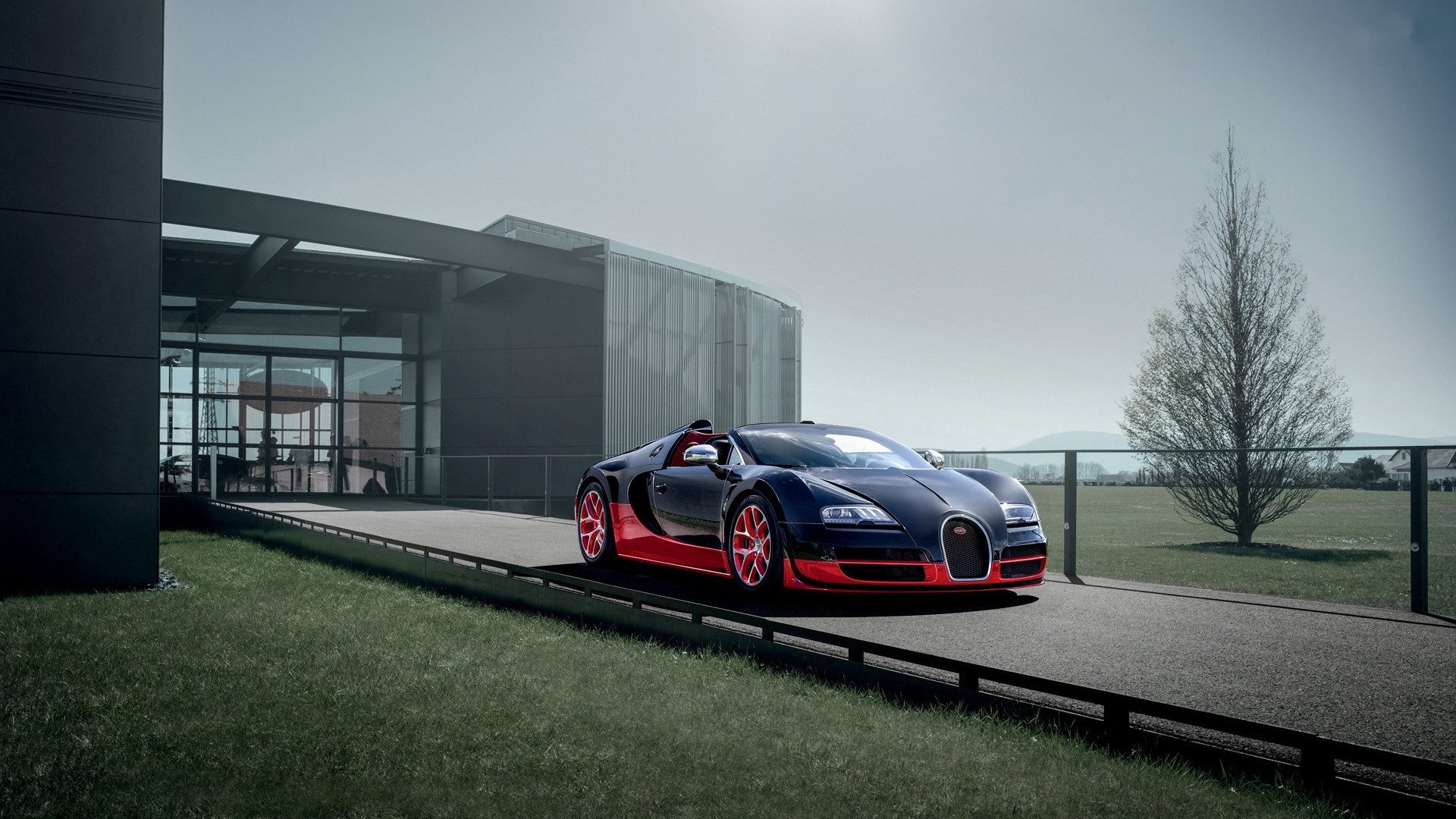 布加迪,威龙,超级跑车,黑色跑车