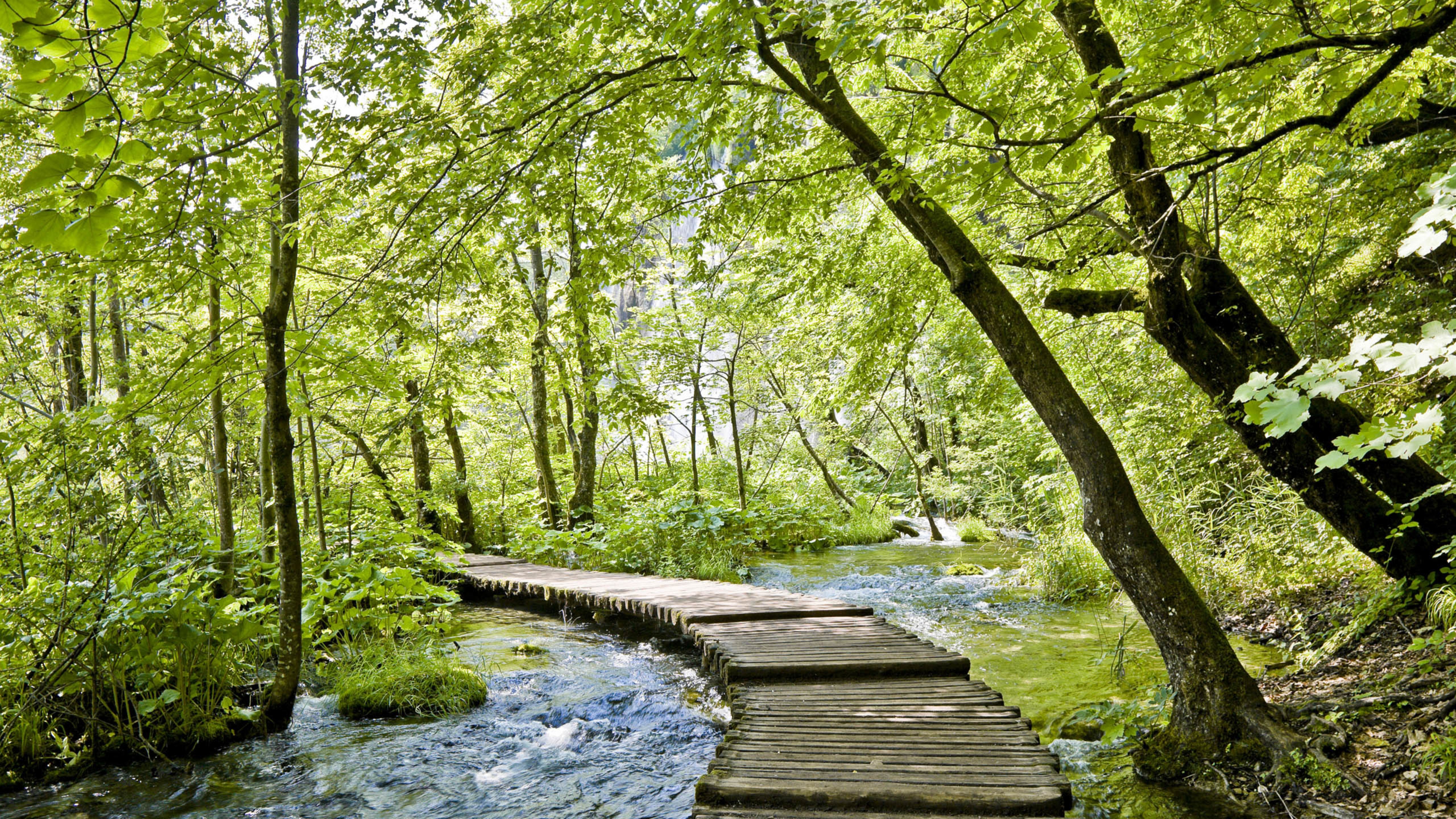 春天,溪水,绿色