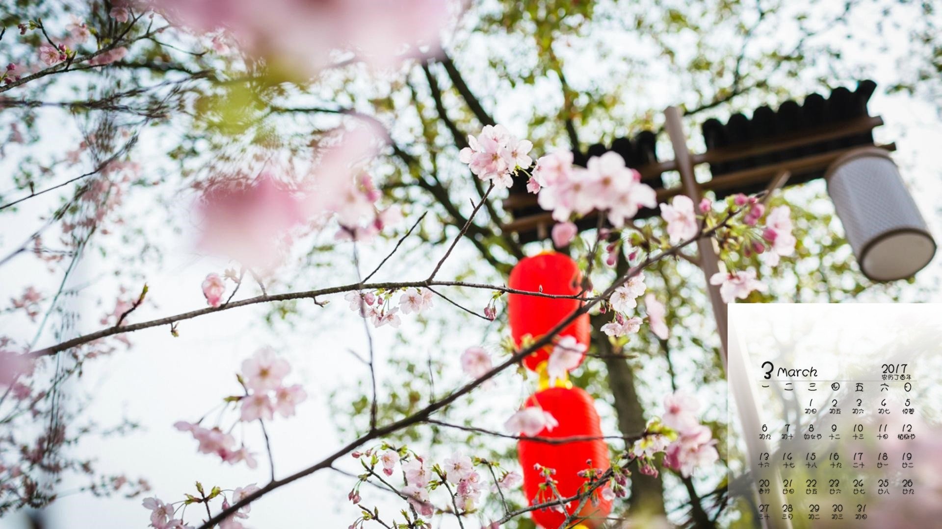 2017年3月,桃花,小清新