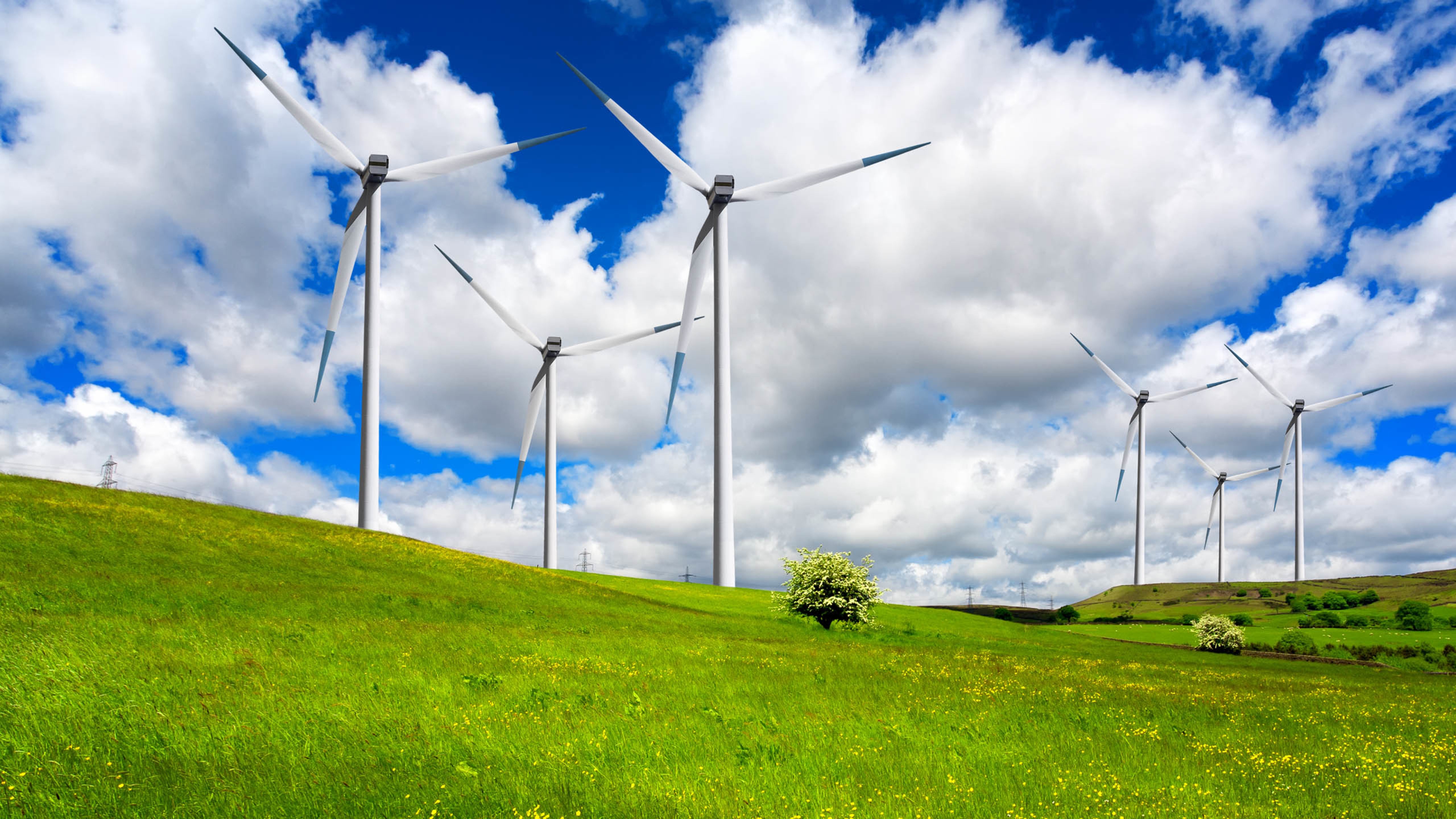 风车,草地,蓝天,白云