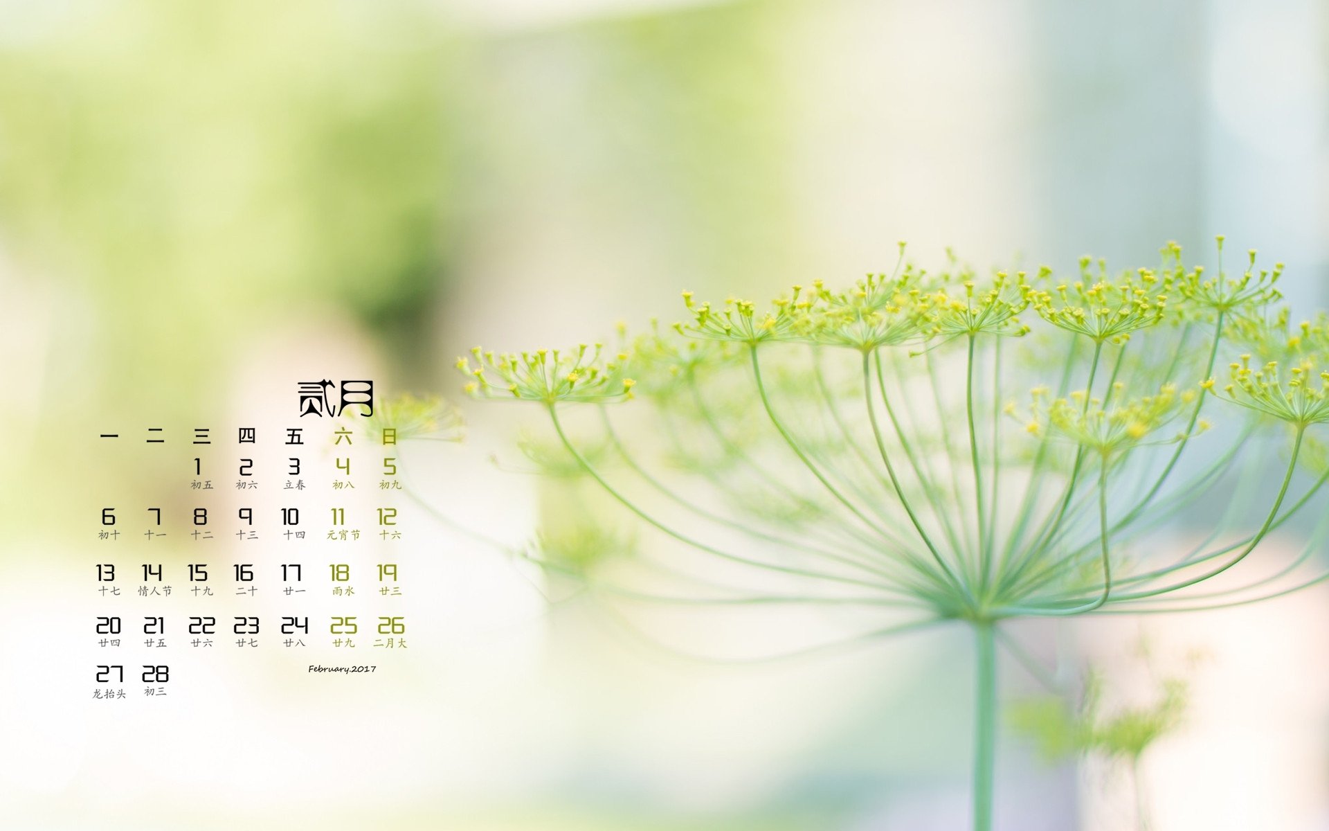 2月,小清新,植物