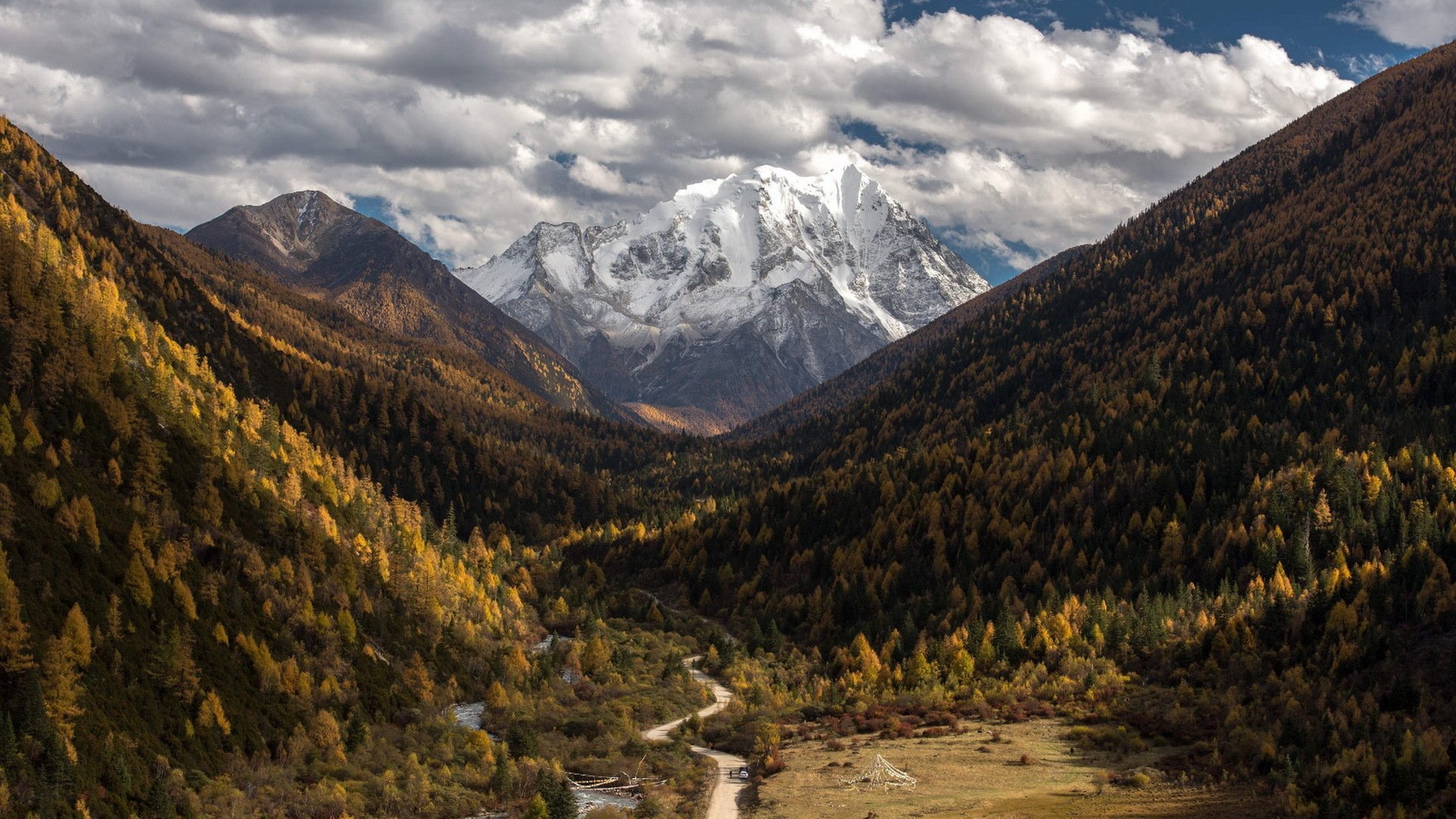 自然风光,森林,雪山