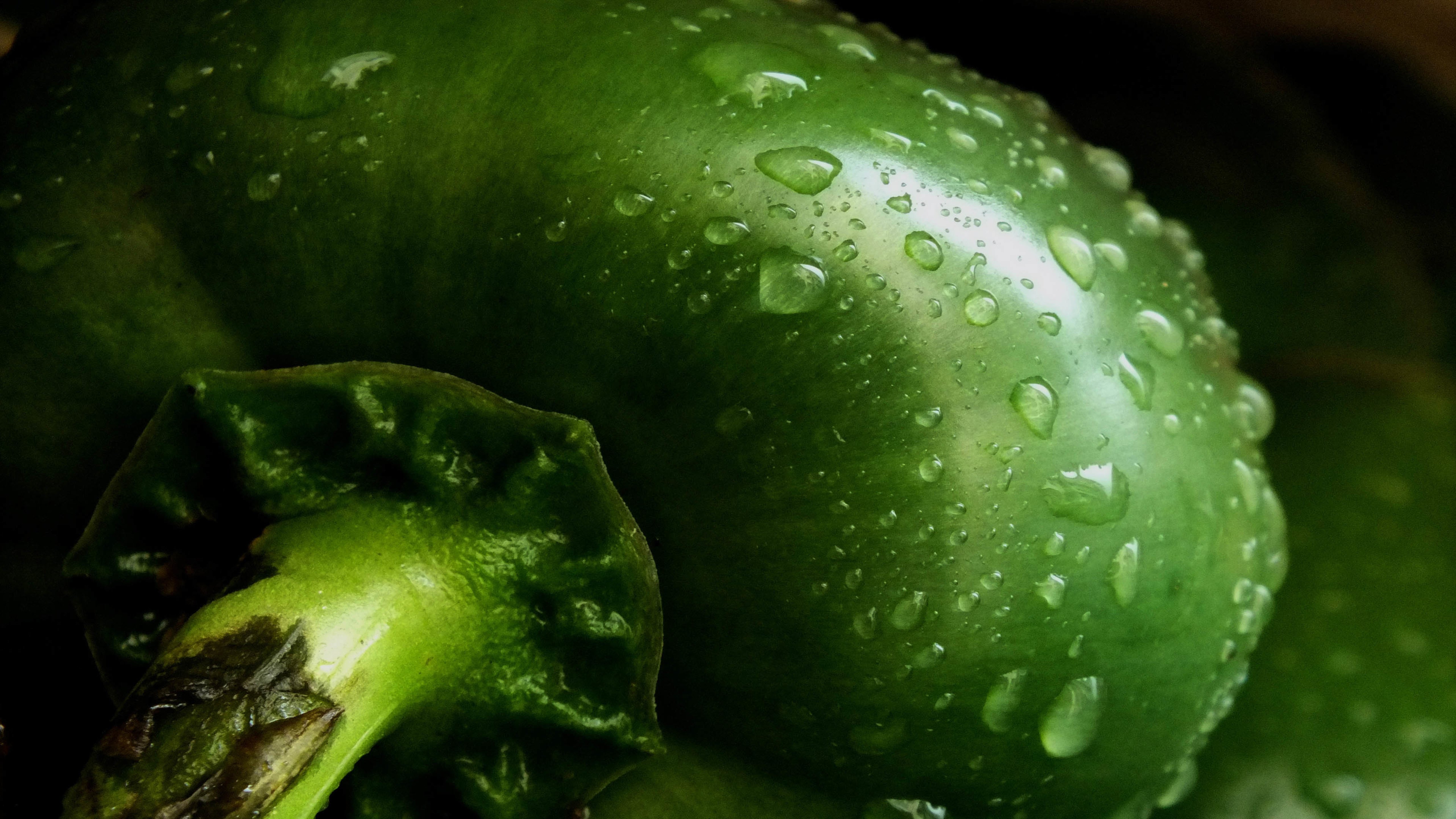 辣椒,水珠,绿色