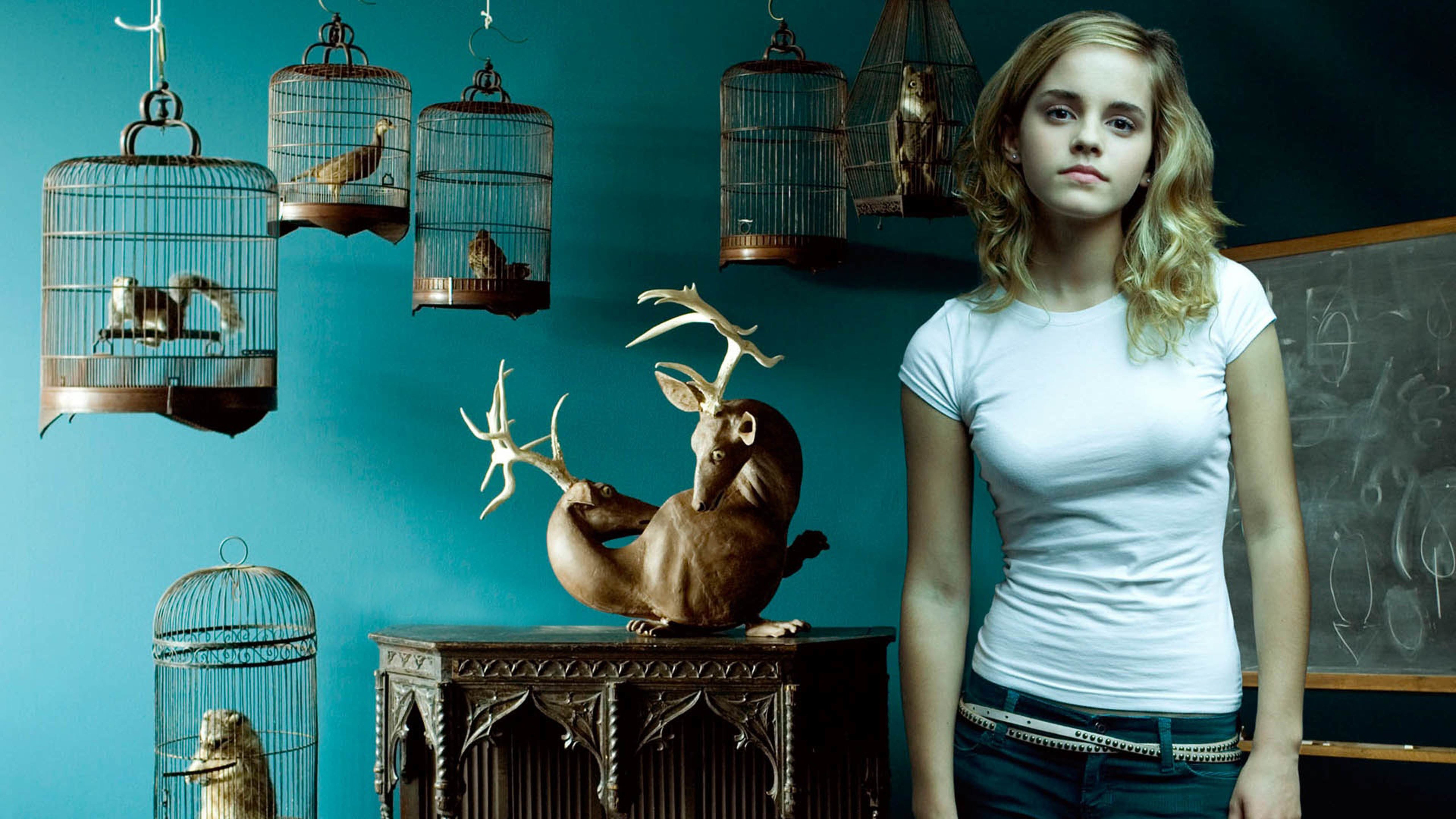 美女,欧美,动物,雕塑