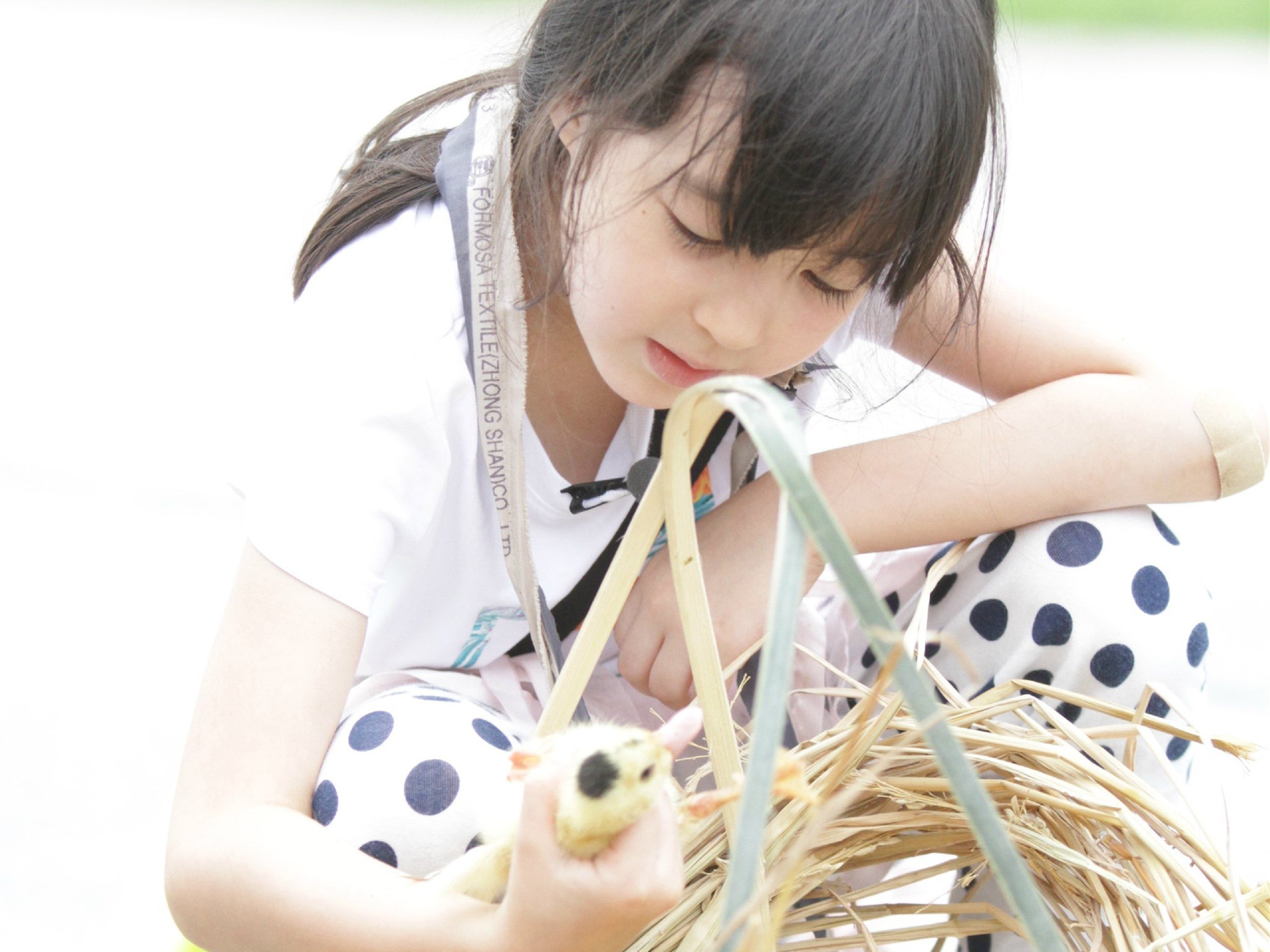 爸爸去哪儿,夏天