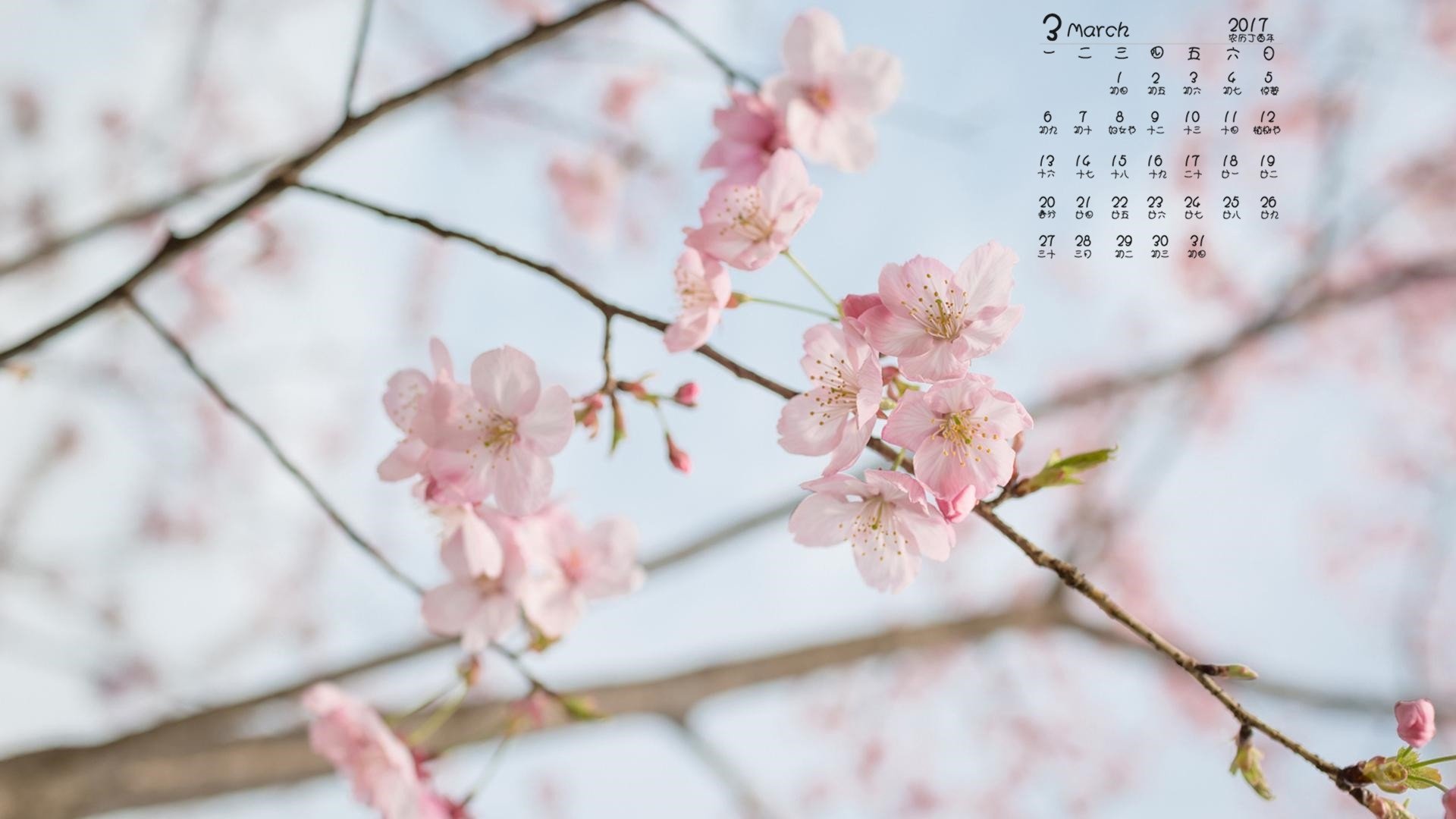 2017年3月,桃花,小清新