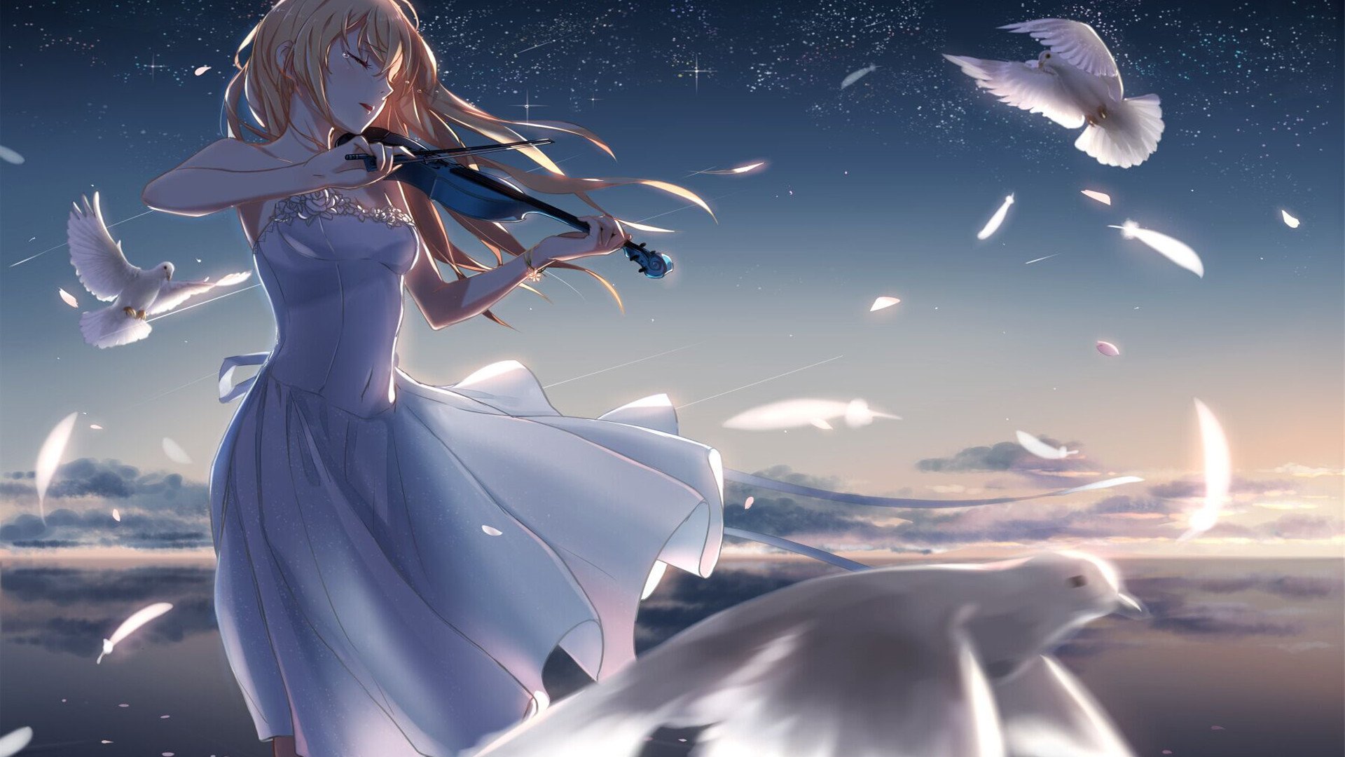 女生,小提琴,鸽子