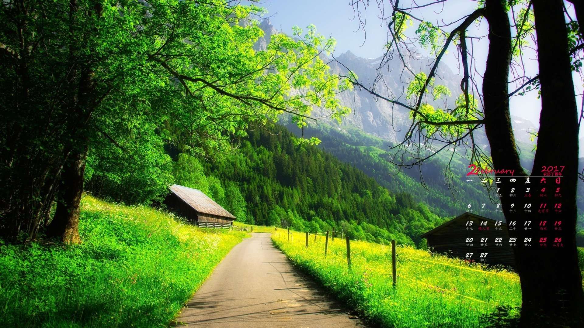 2月,森林,绿色,护眼