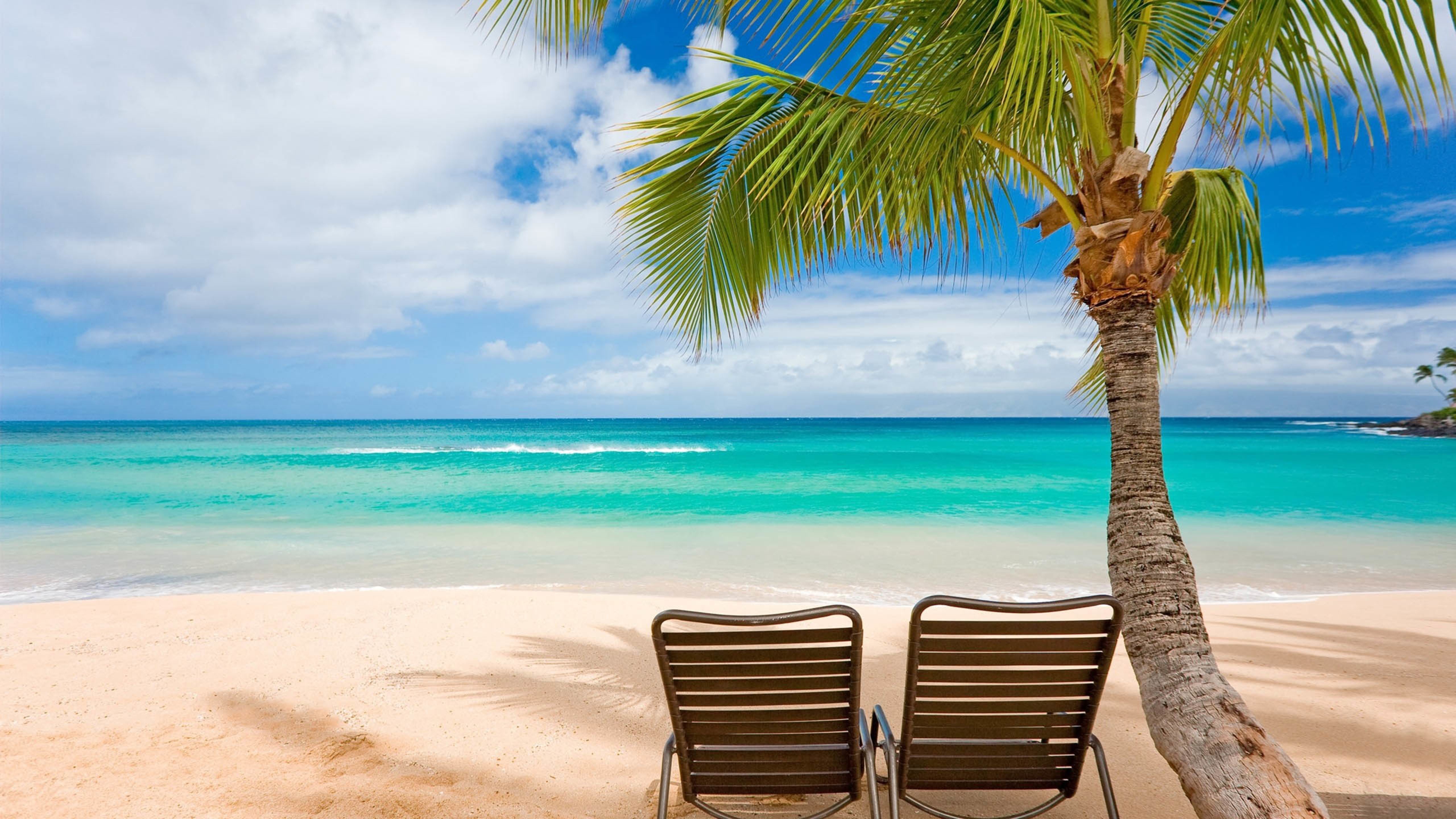 海滩,椰子树,休闲,度假