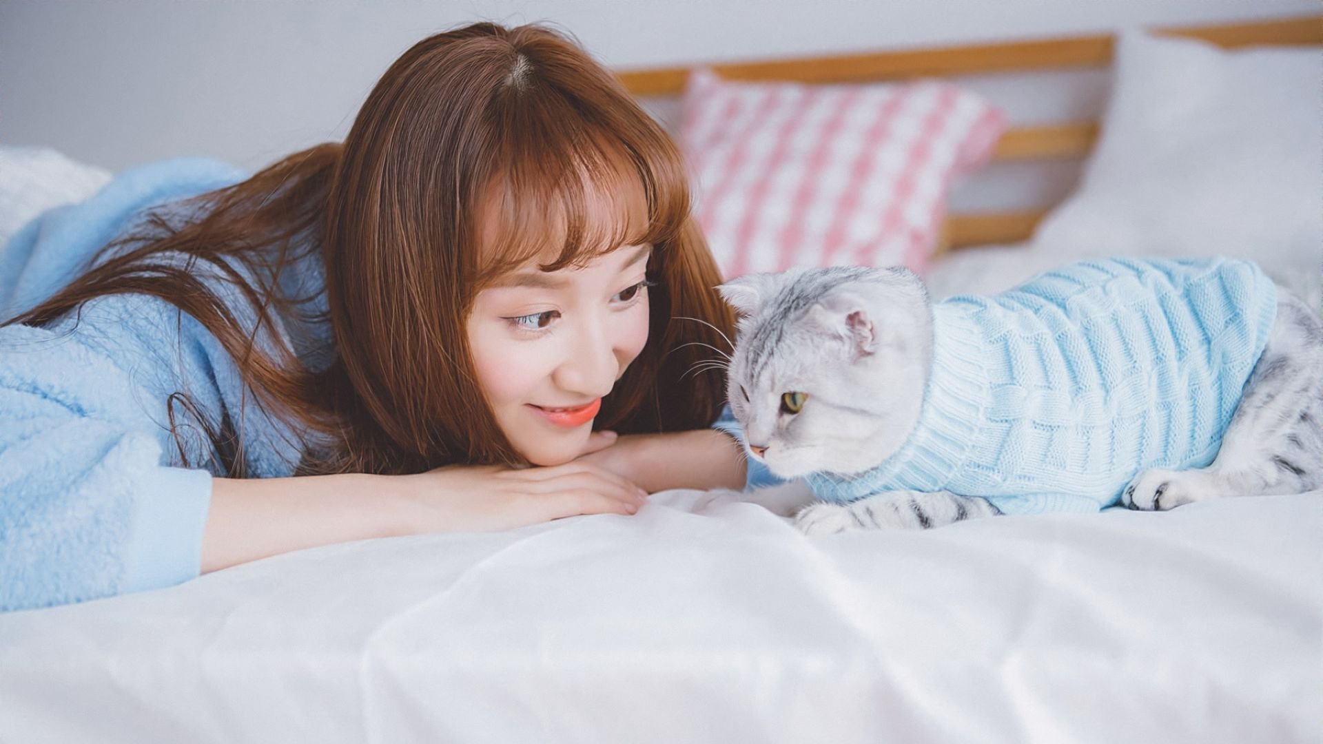 清纯,唯美,家居,猫咪,可爱