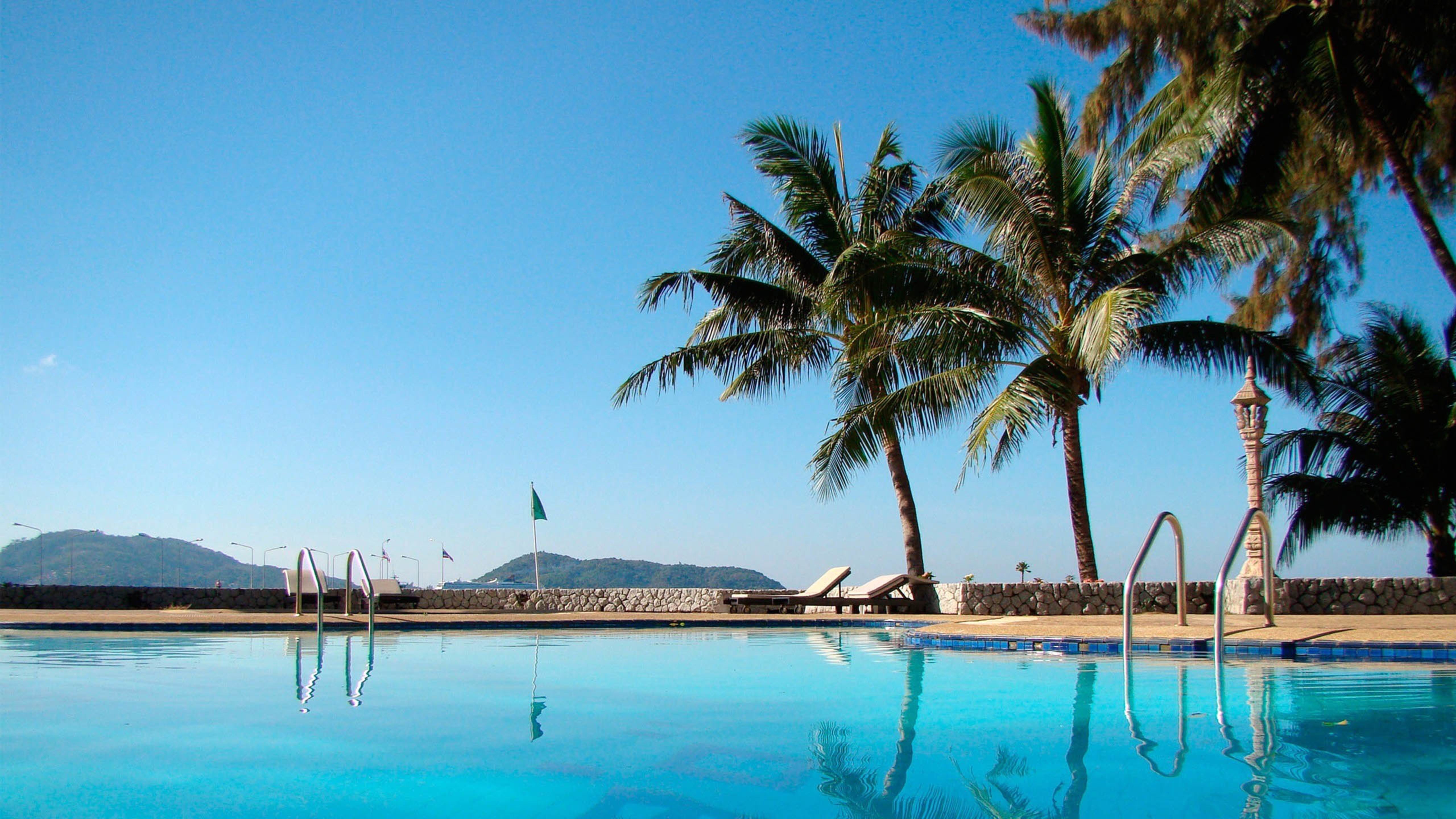 椰子树,游泳池