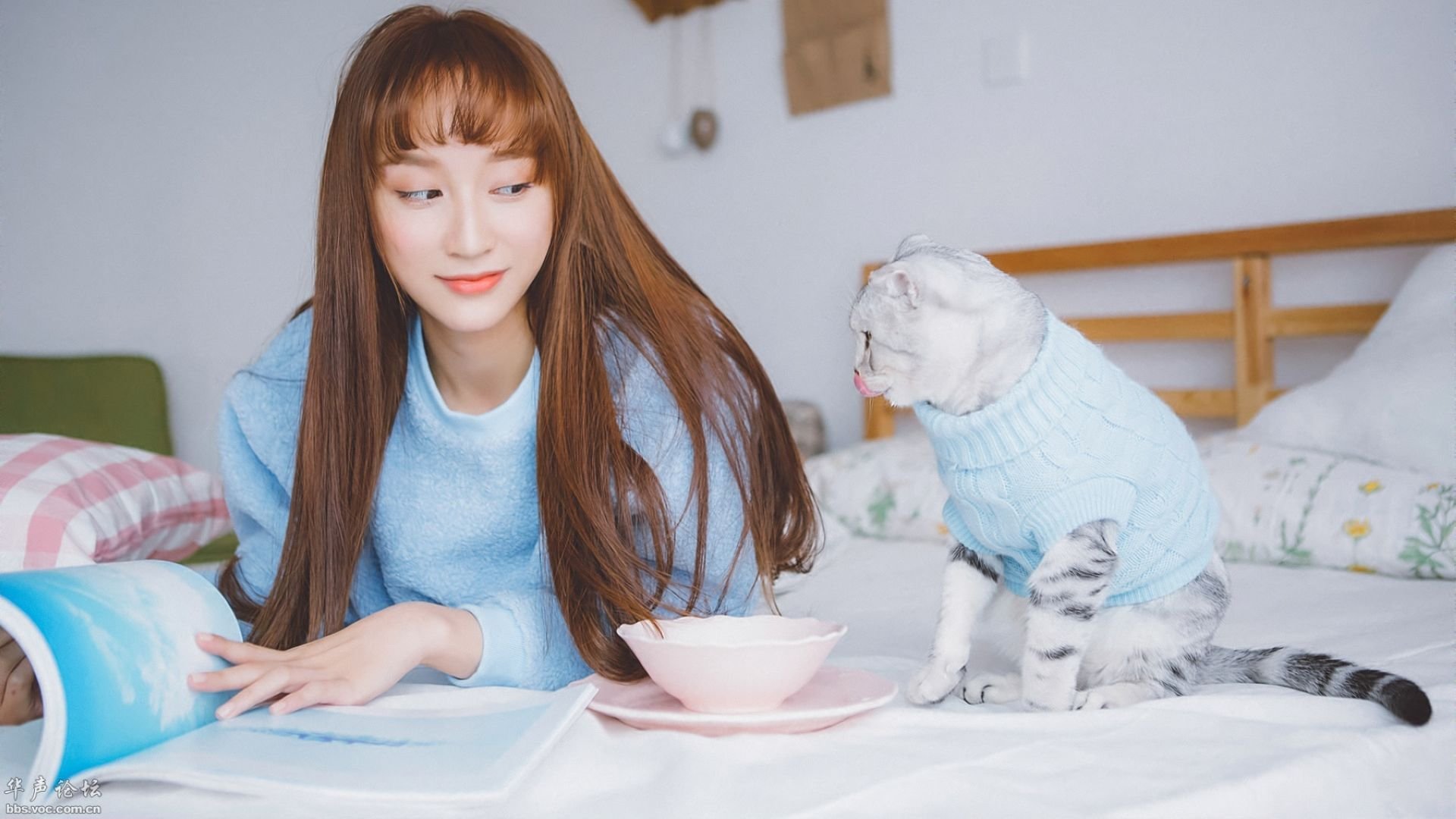 清纯,唯美,家居,猫咪