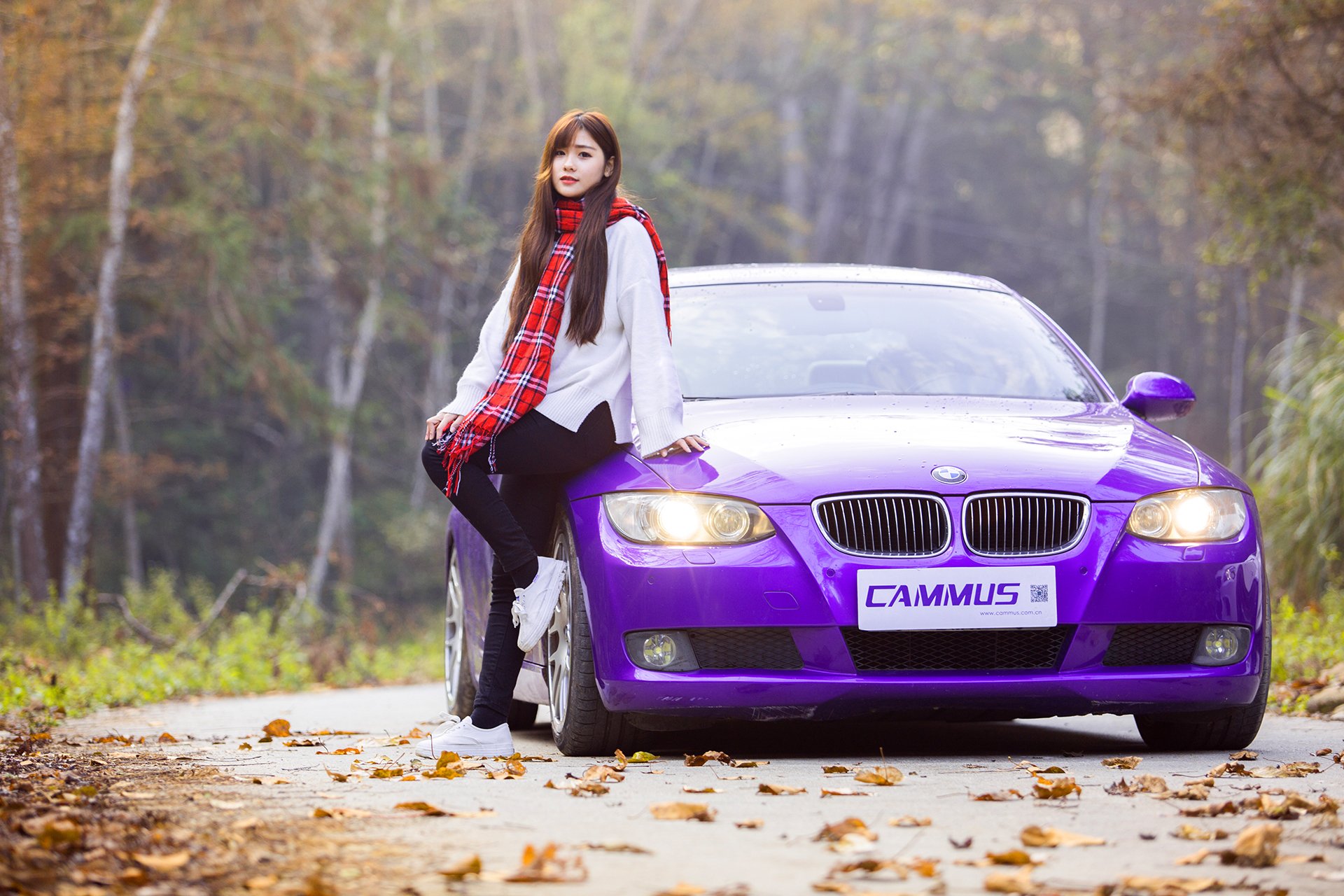 宝马,紫色,车模